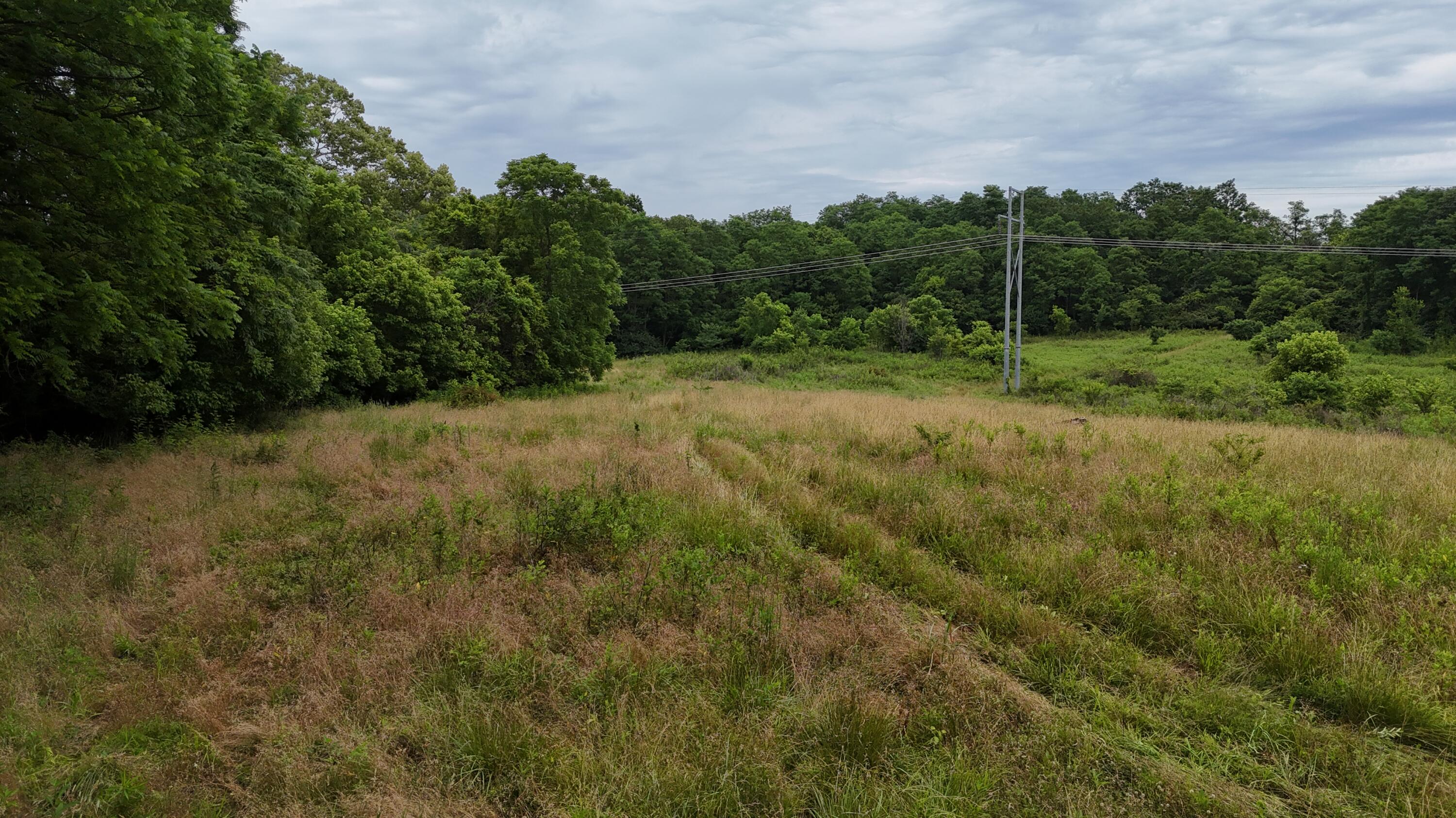 0 Highway 184 Property Photo 32