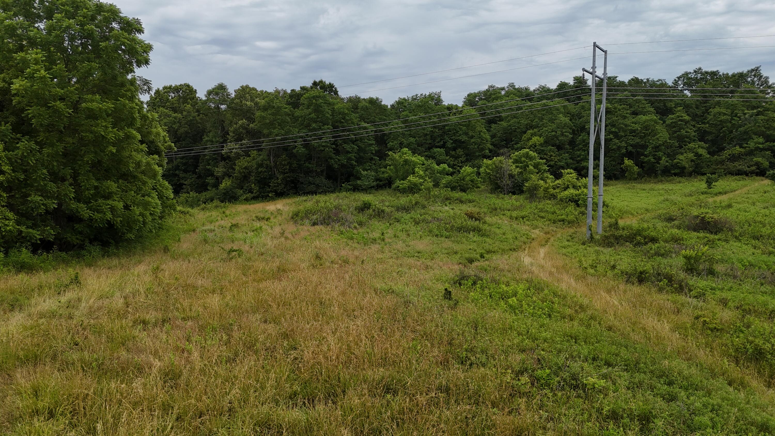 0 Highway 184 Property Photo 34