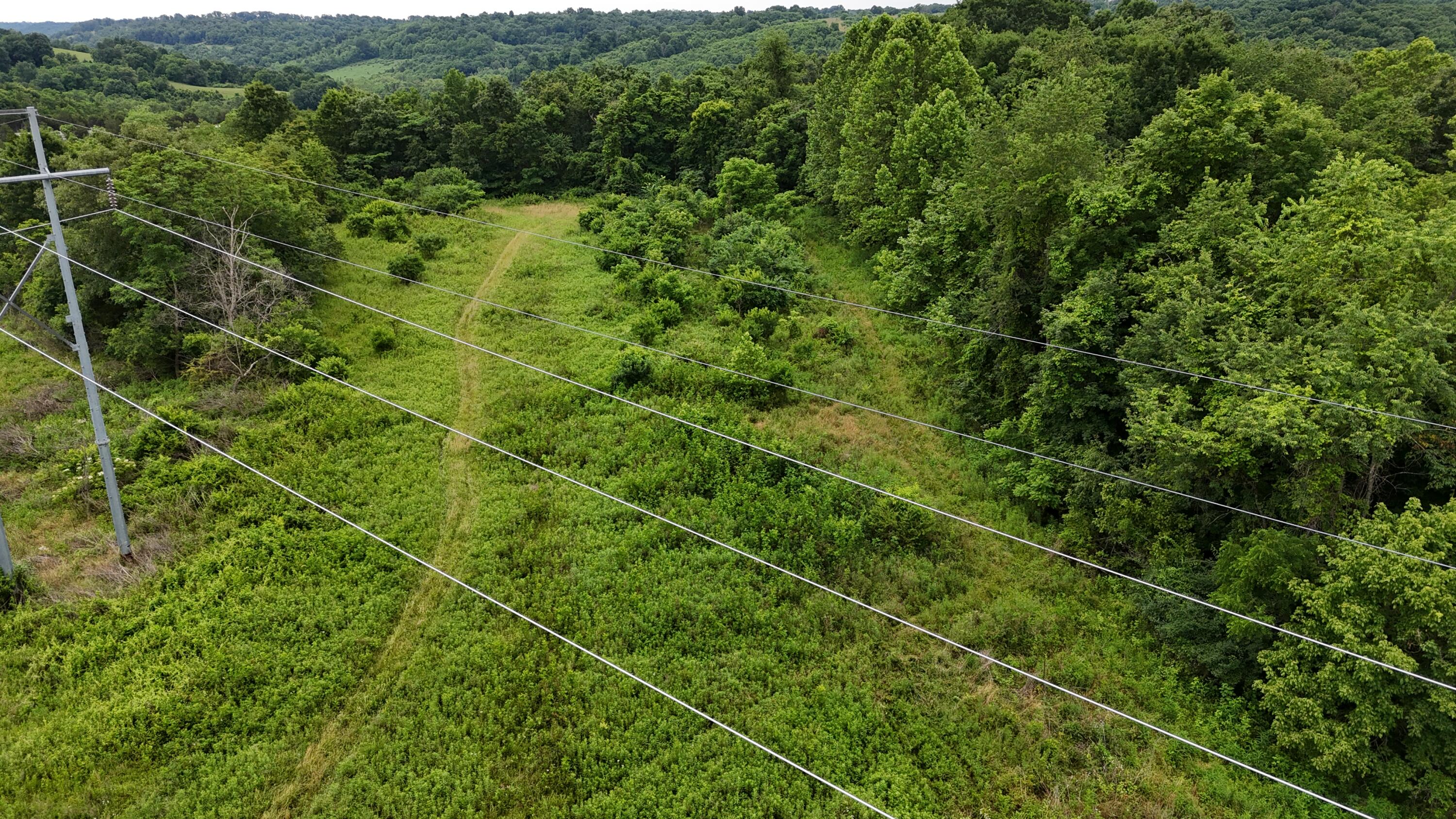 0 Highway 184 Property Photo 37