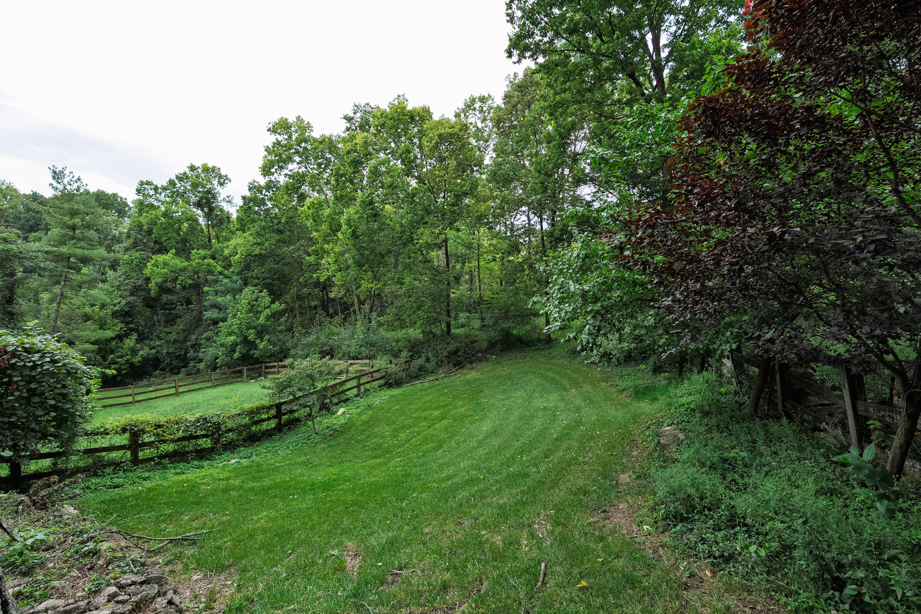 13 Anthony Lane Property Photo 23