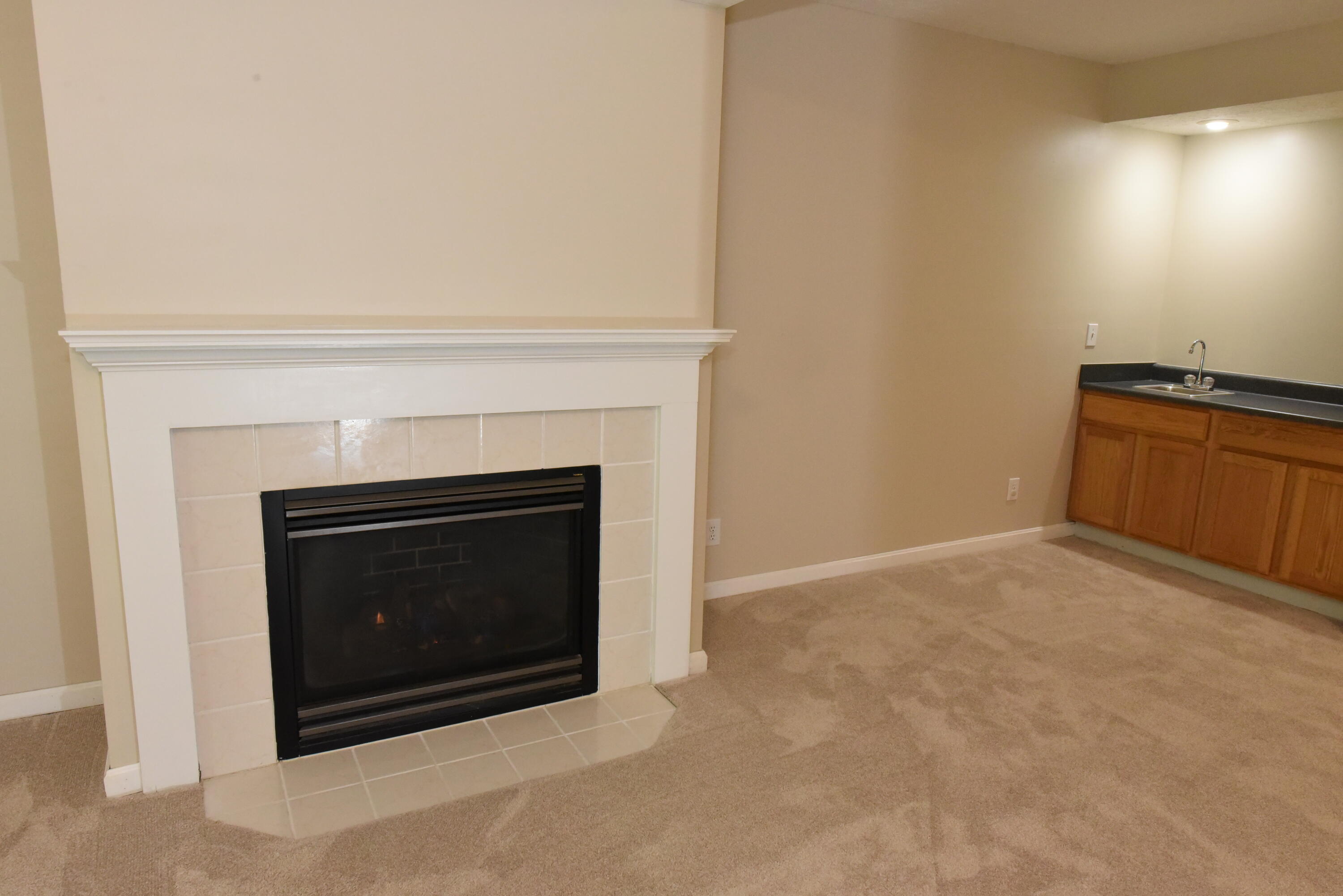 507 Shadow Ridge Drive Property Photo 9