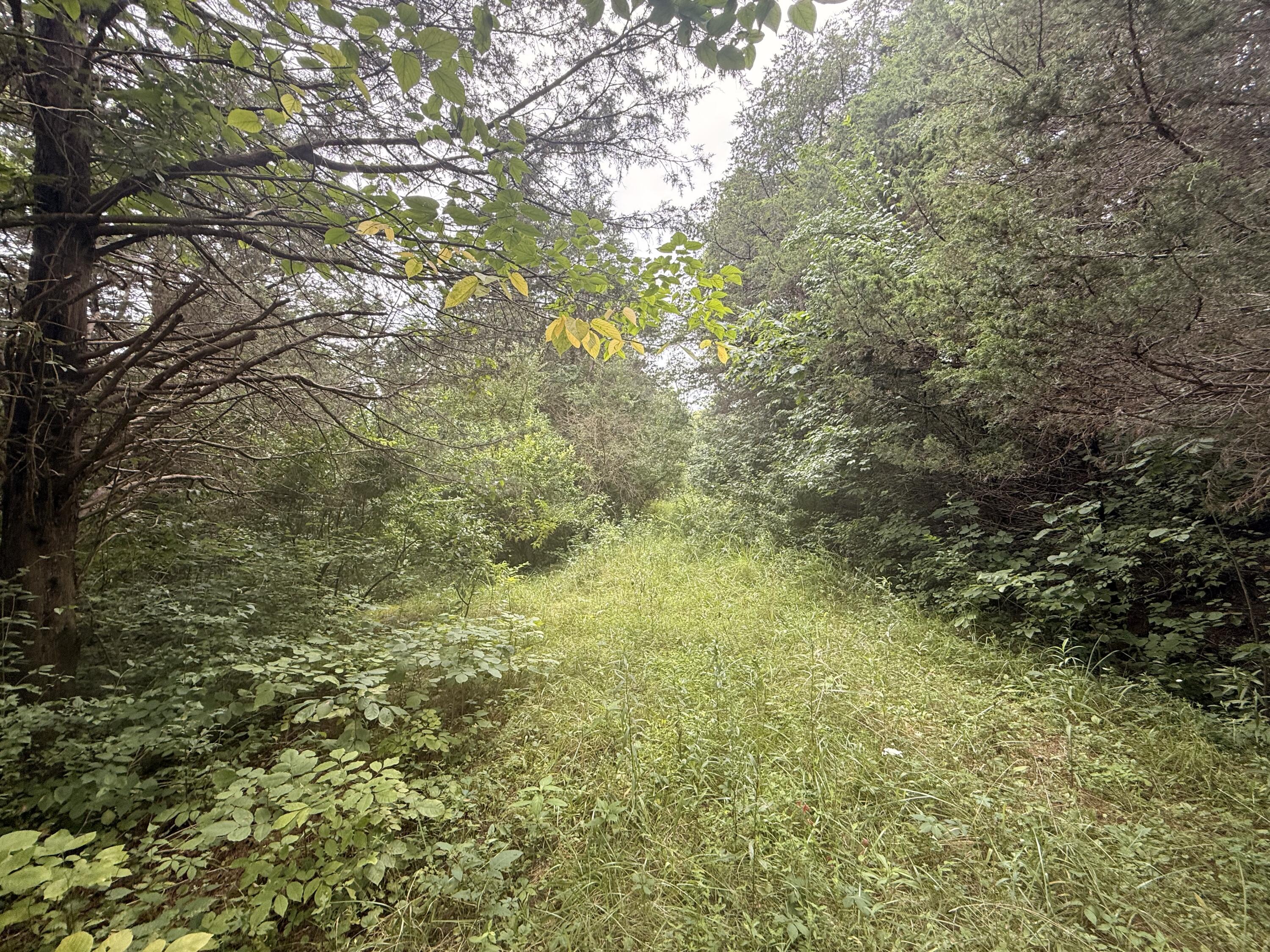815 Waterworks Road Property Photo 1