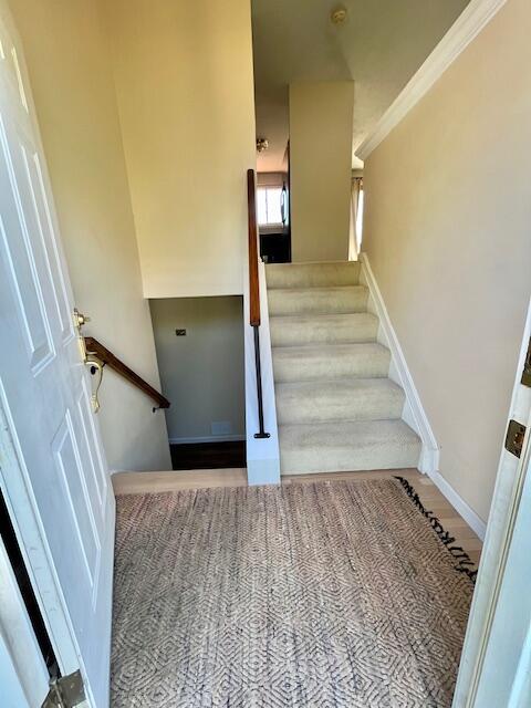 102 Tando Way Property Photo 4