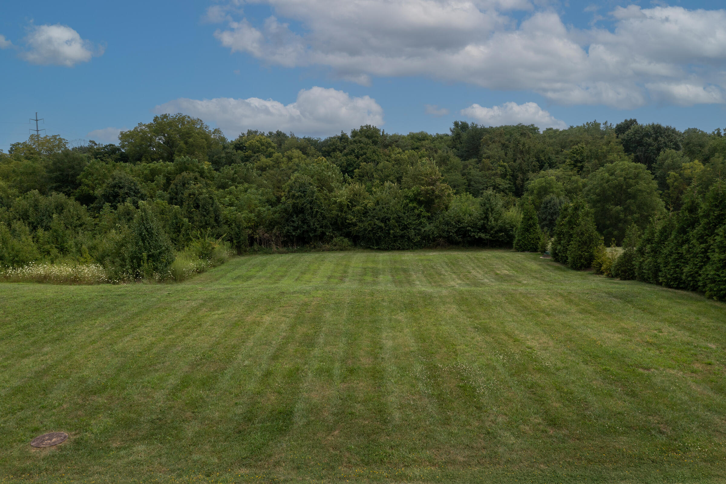 9753 Manassas Drive Property Photo 1