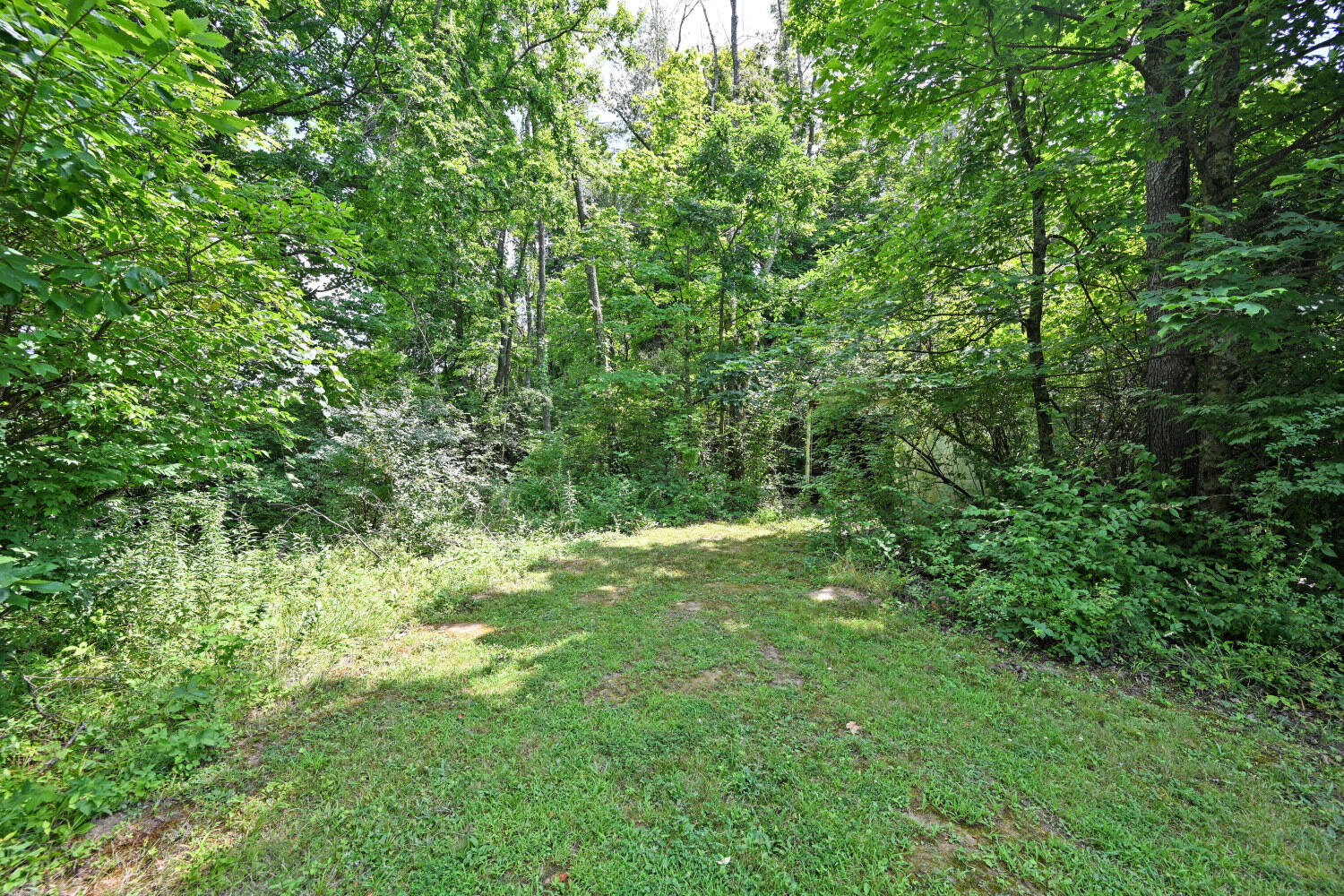 729 Mount Zion Road Property Photo 46