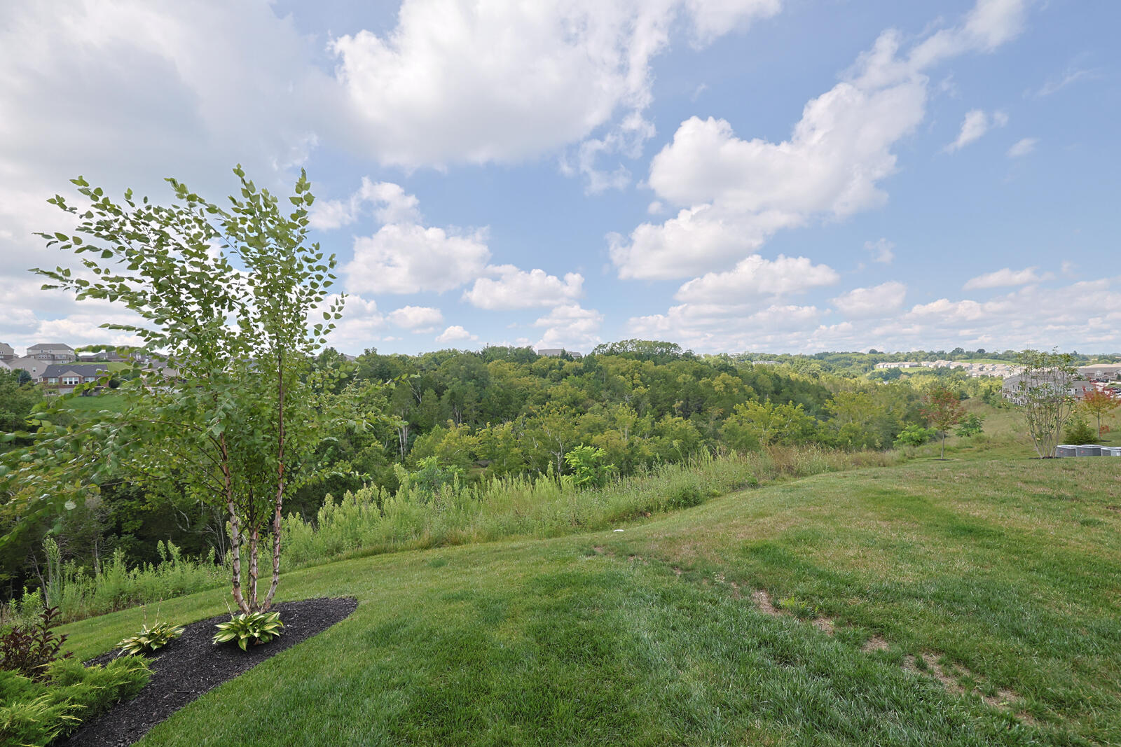 7801 Devonshire Drive Property Photo 22