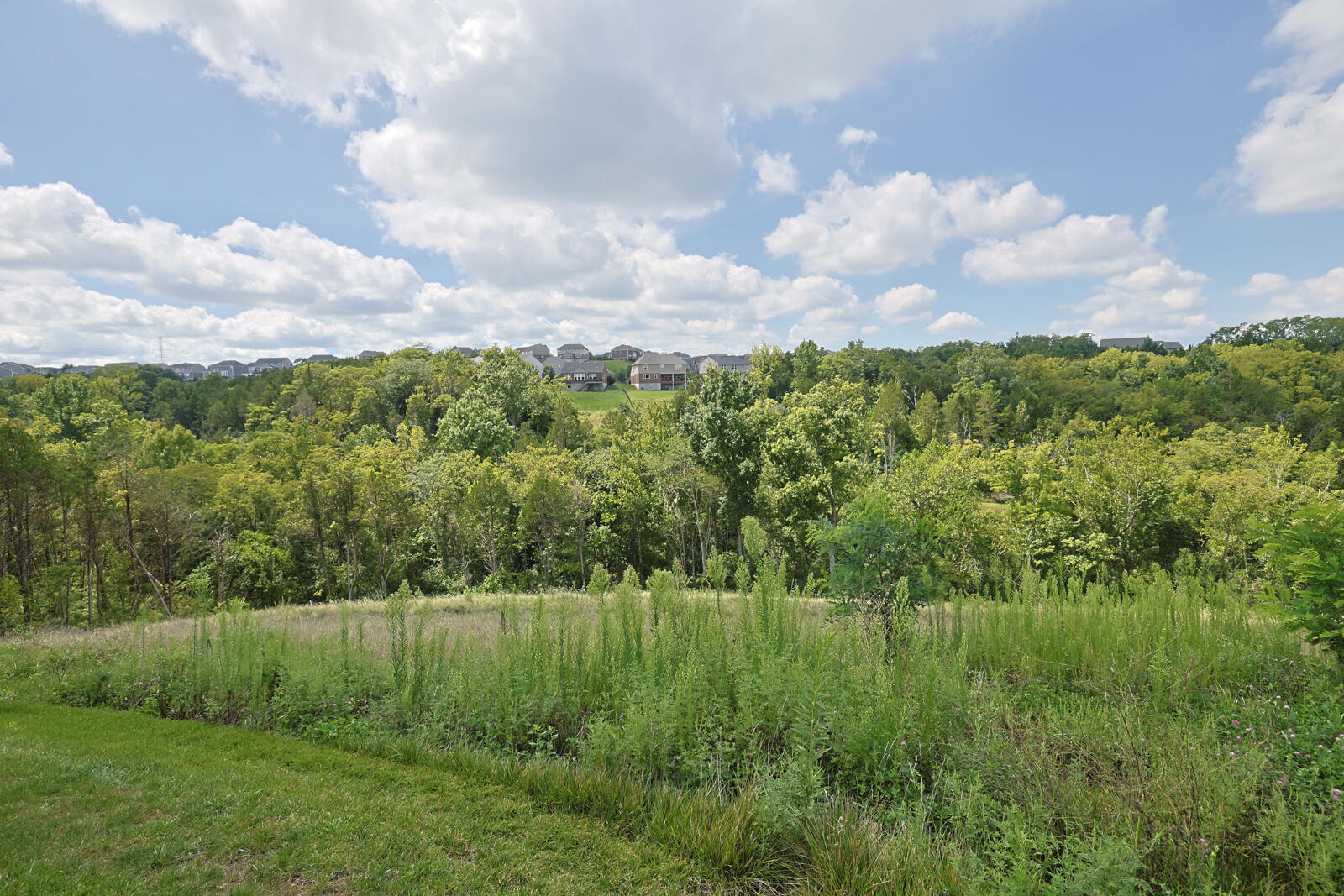 7801 Devonshire Drive Property Photo 23