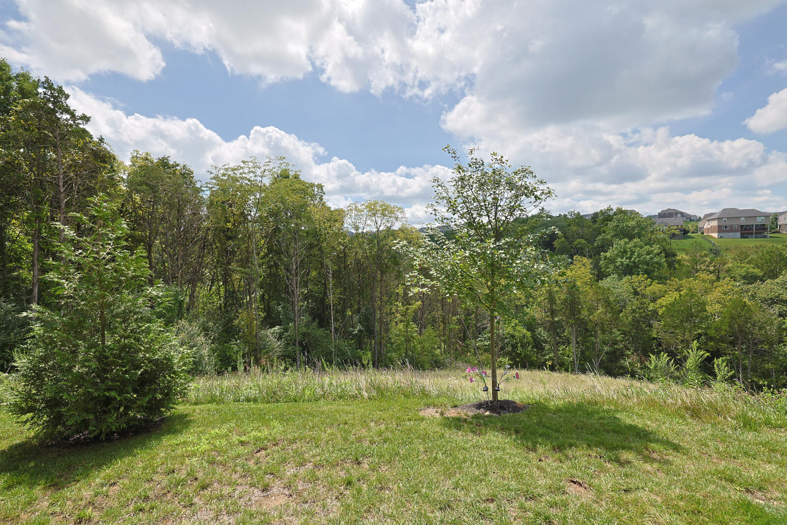 7801 Devonshire Drive Property Photo 24