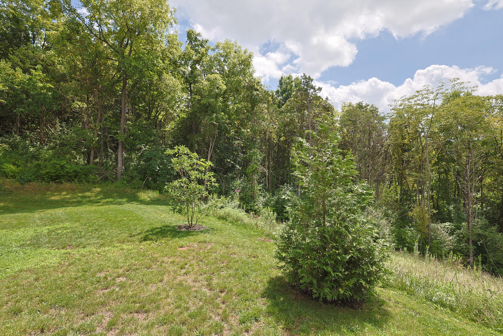 7801 Devonshire Drive Property Photo 25