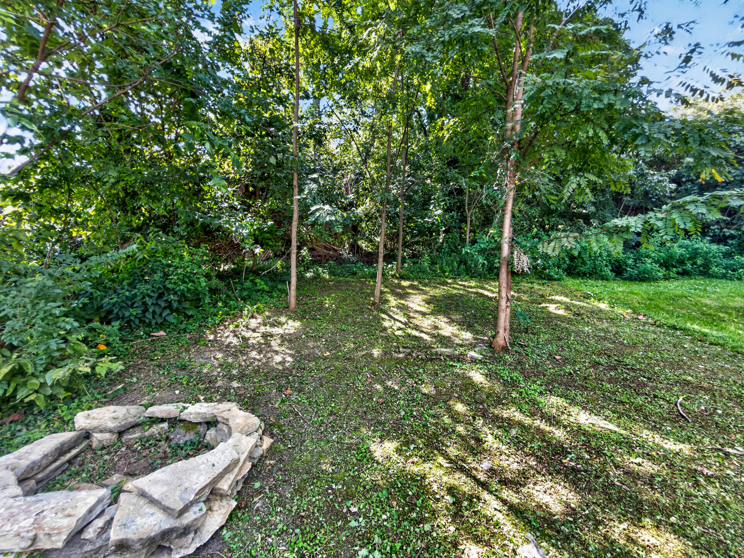 1207 John Street Property Photo 29