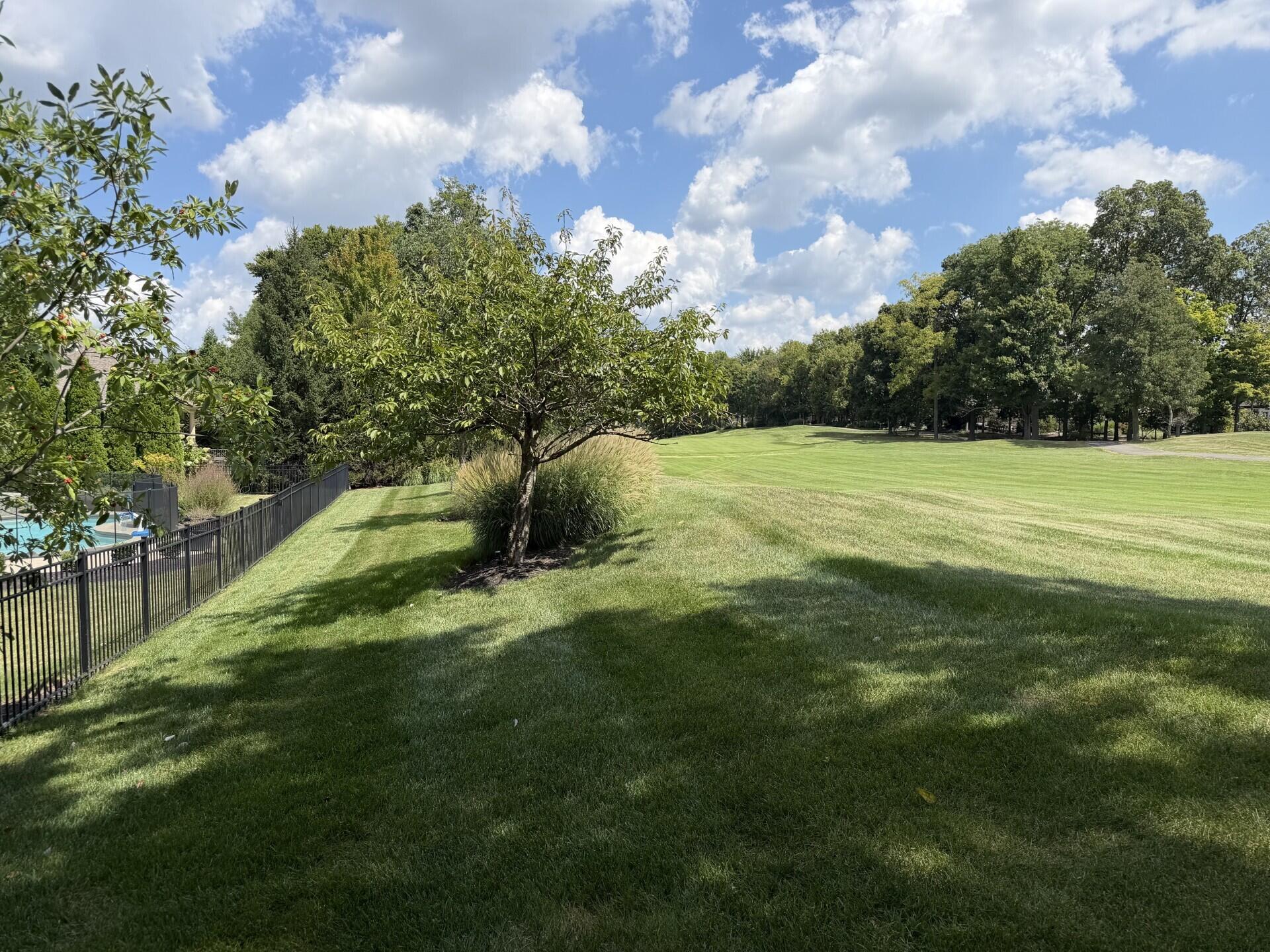 10725 Meadow Stable Lane Property Photo 47