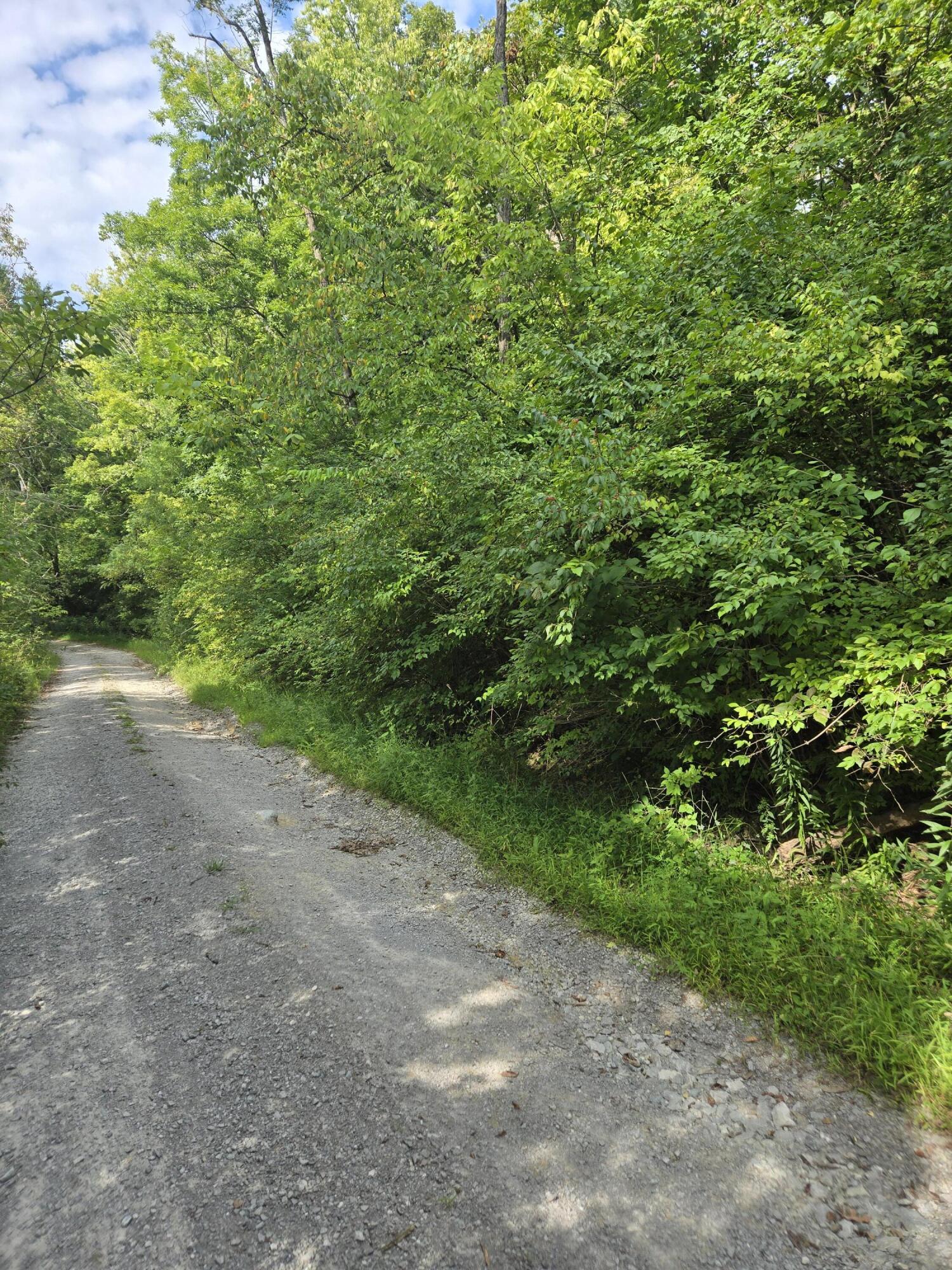 000 Corinth Shore Drive Property Photo 1
