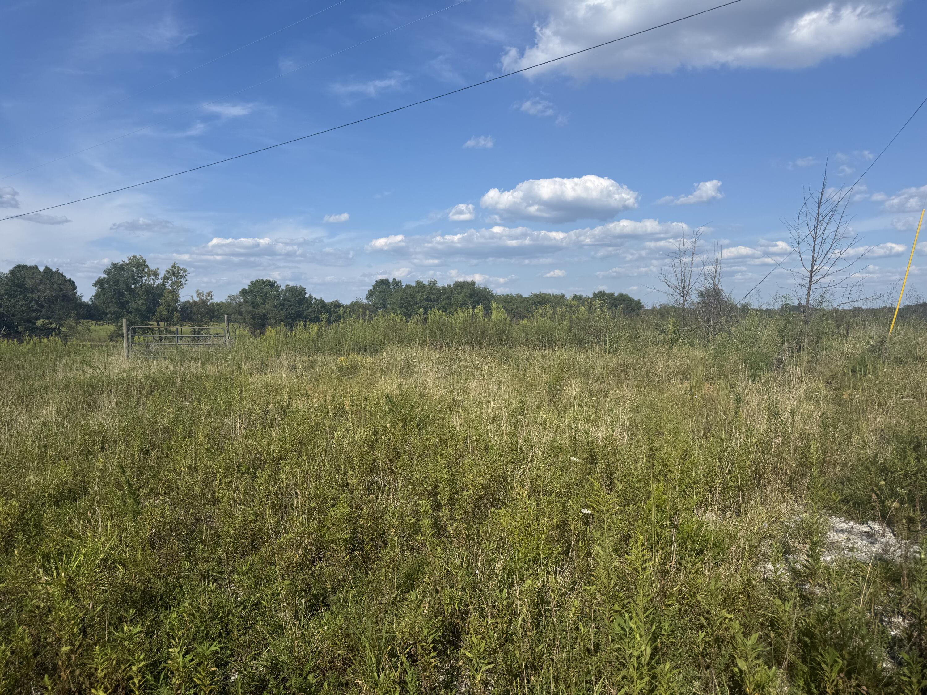 64 Conroy Lane Property Photo 1