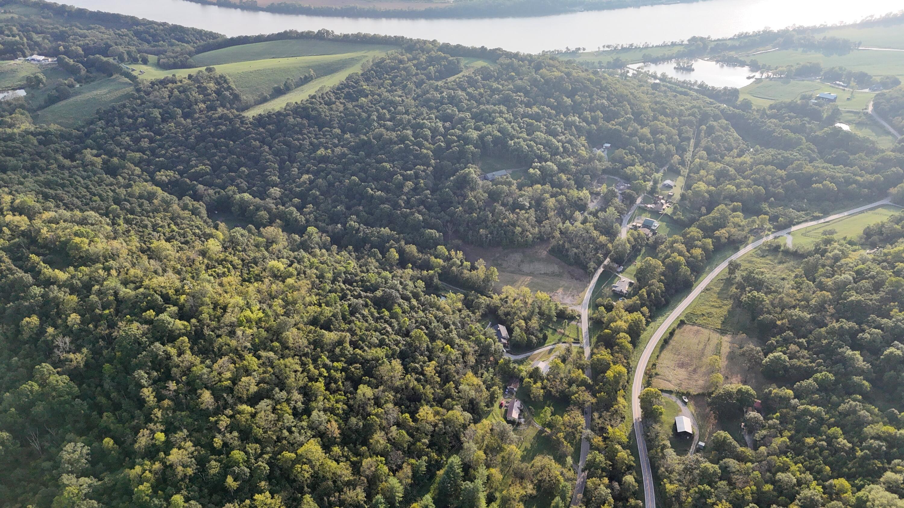 12252 Ryle Road Property Photo 11