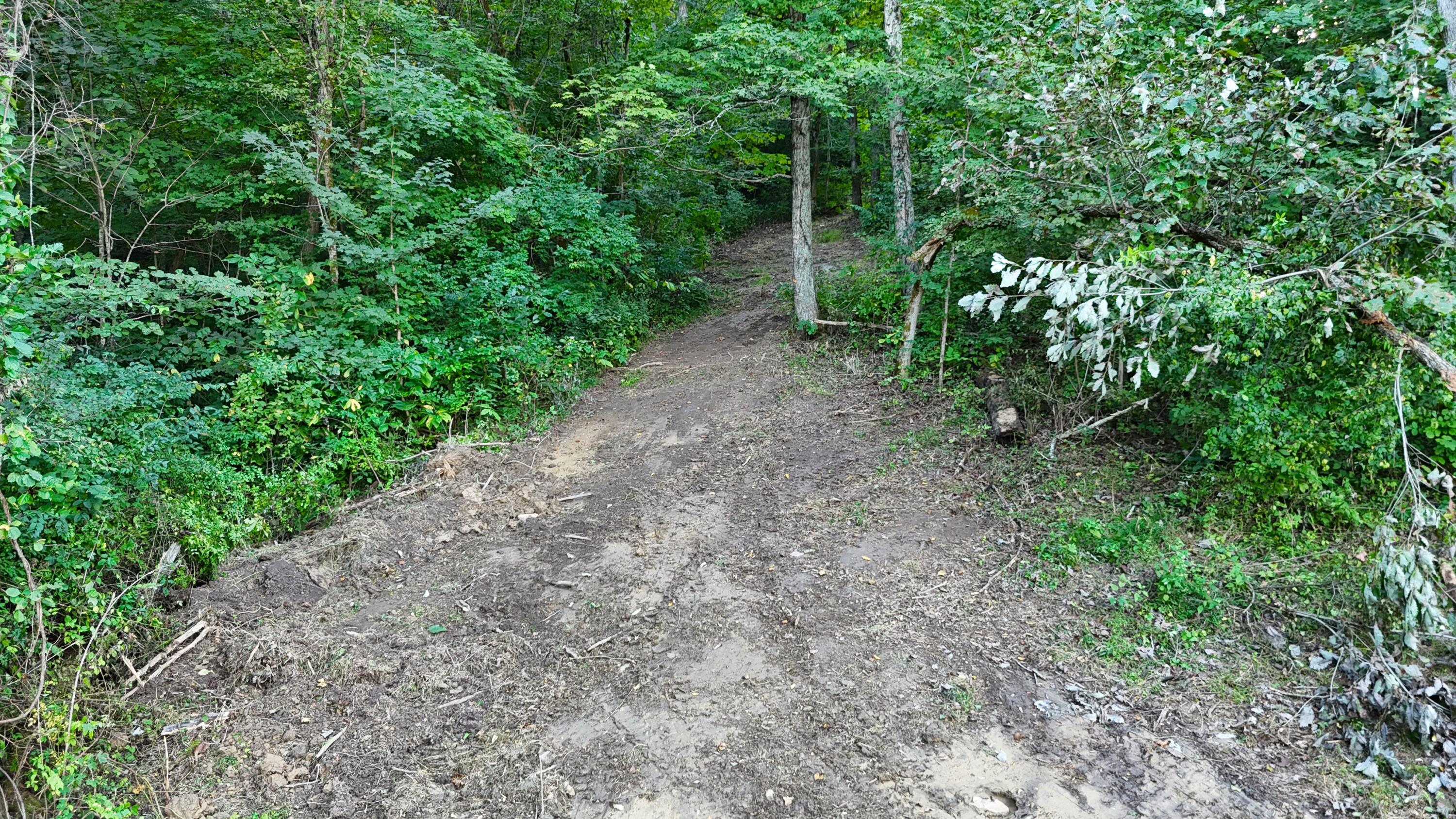 12252 Ryle Road Property Photo 19