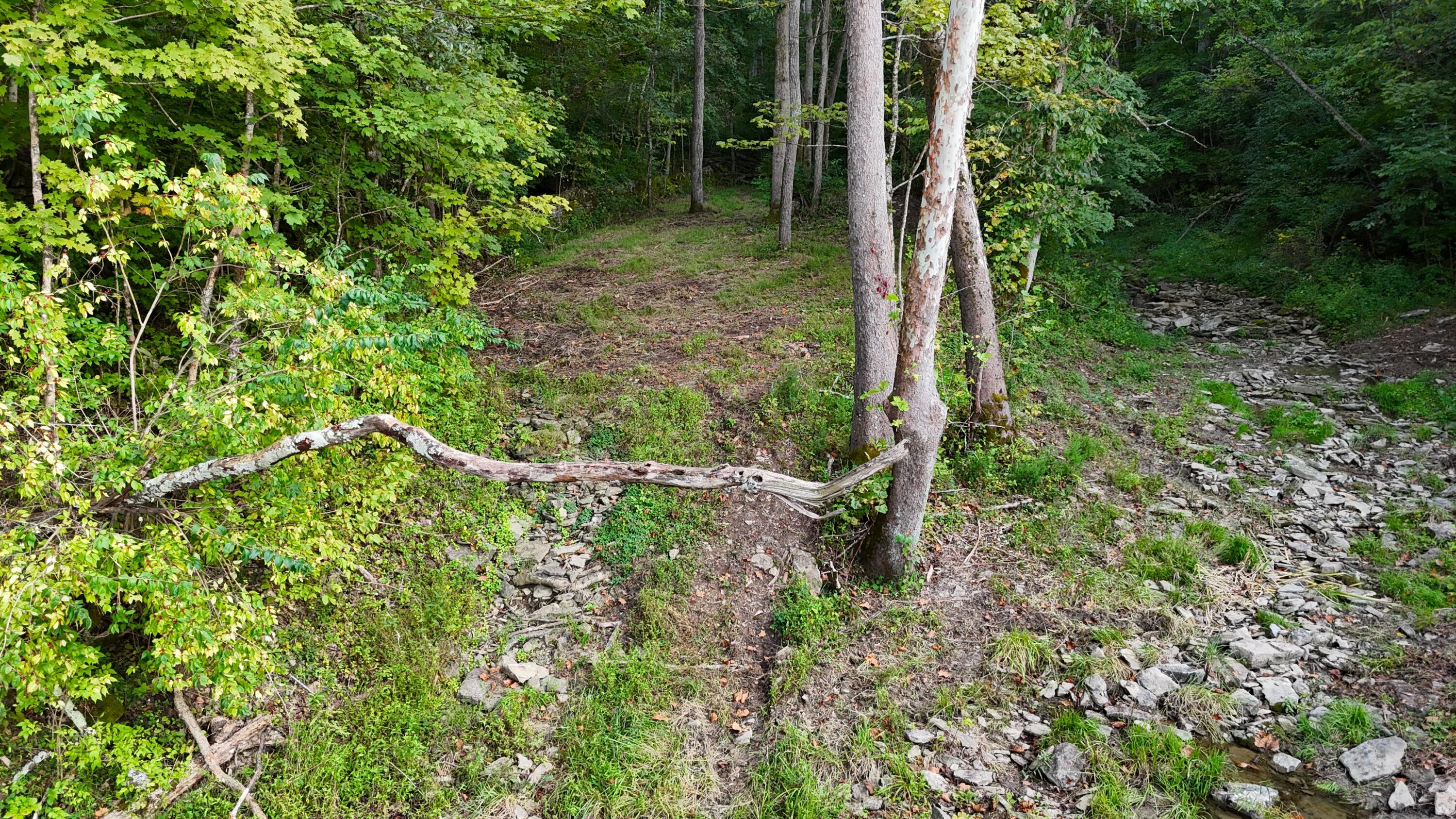 12252 Ryle Road Property Photo 21