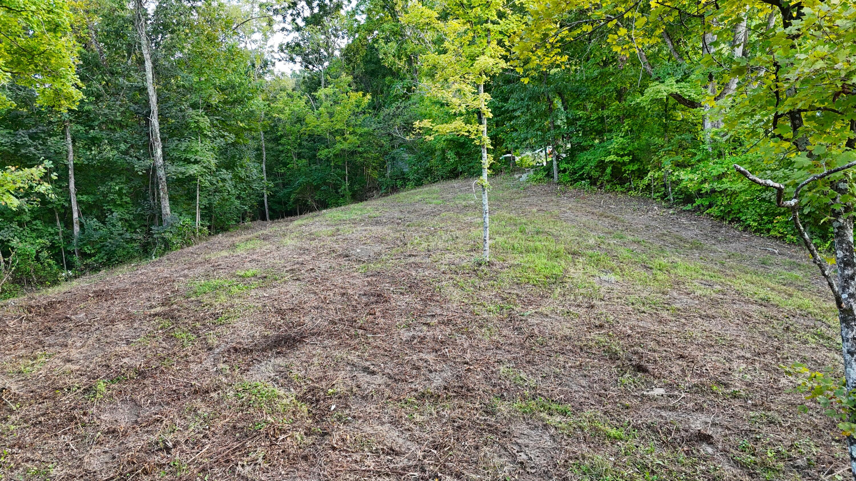 12252 Ryle Road Property Photo 22