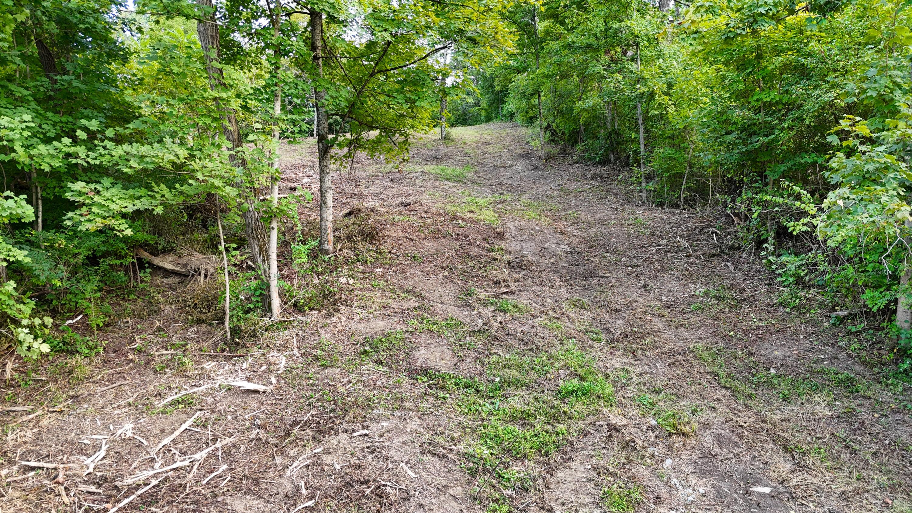 12252 Ryle Road Property Photo 24