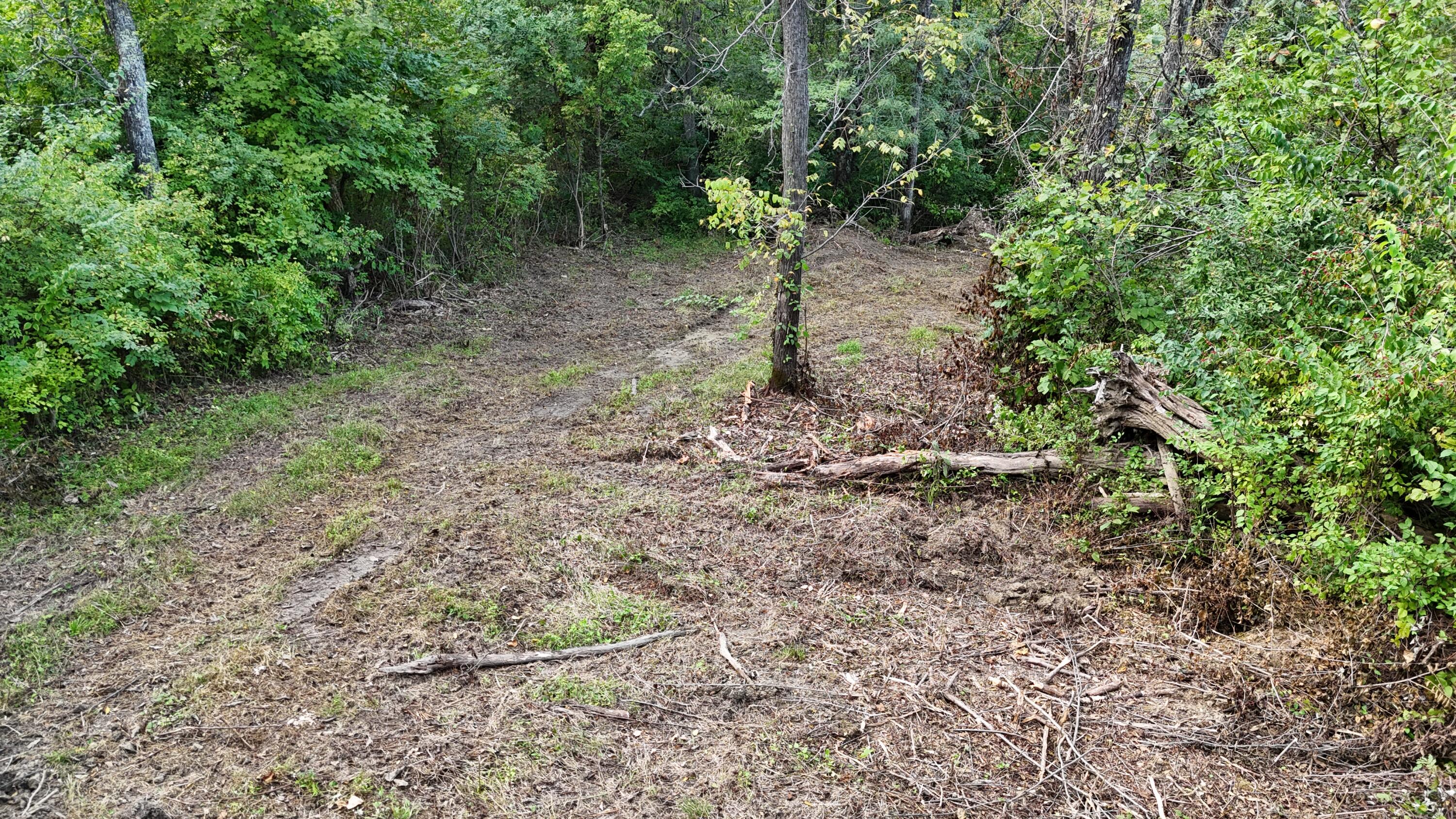 12252 Ryle Road Property Photo 25
