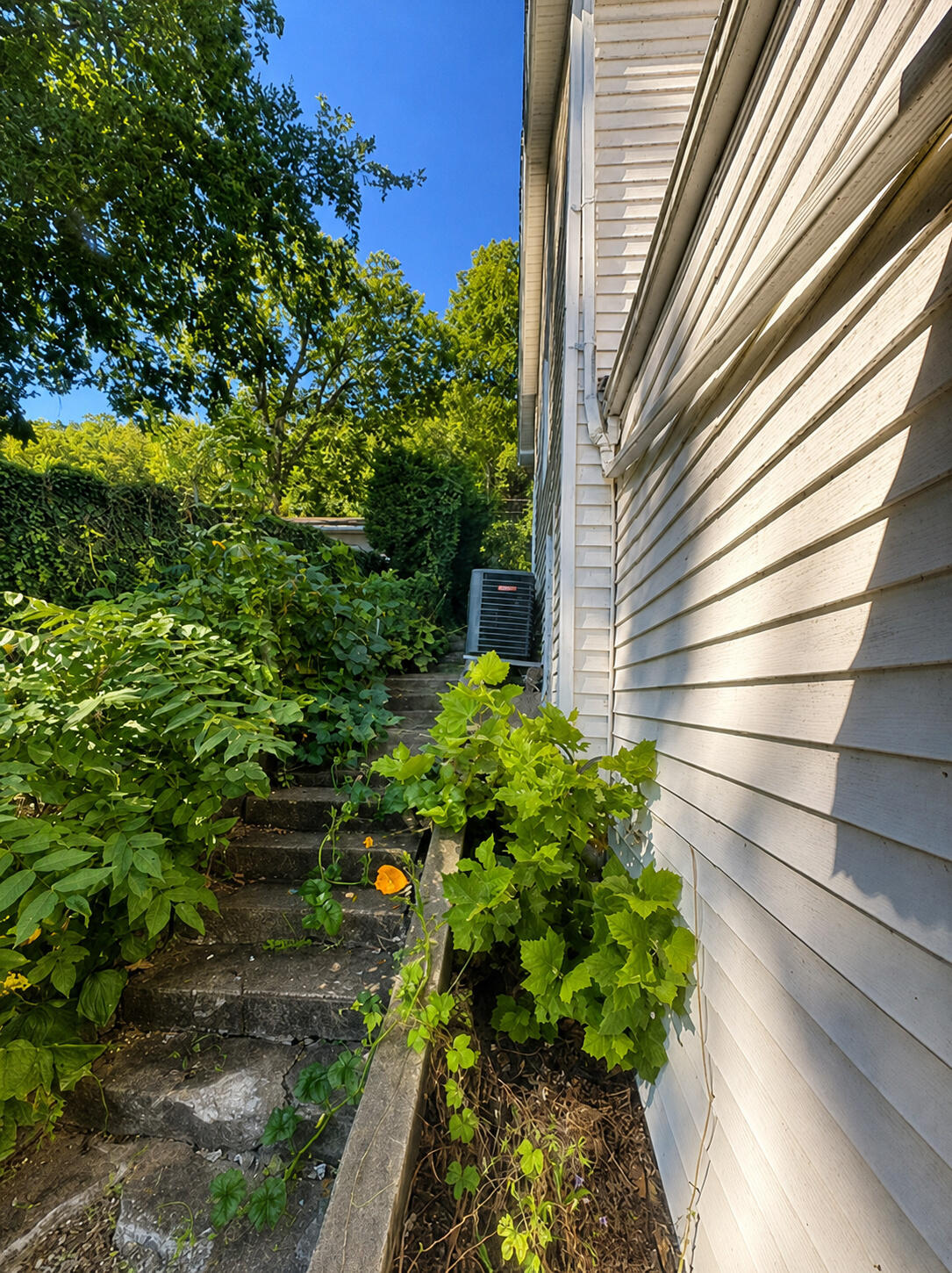 444 W 2nd Street Property Photo 5