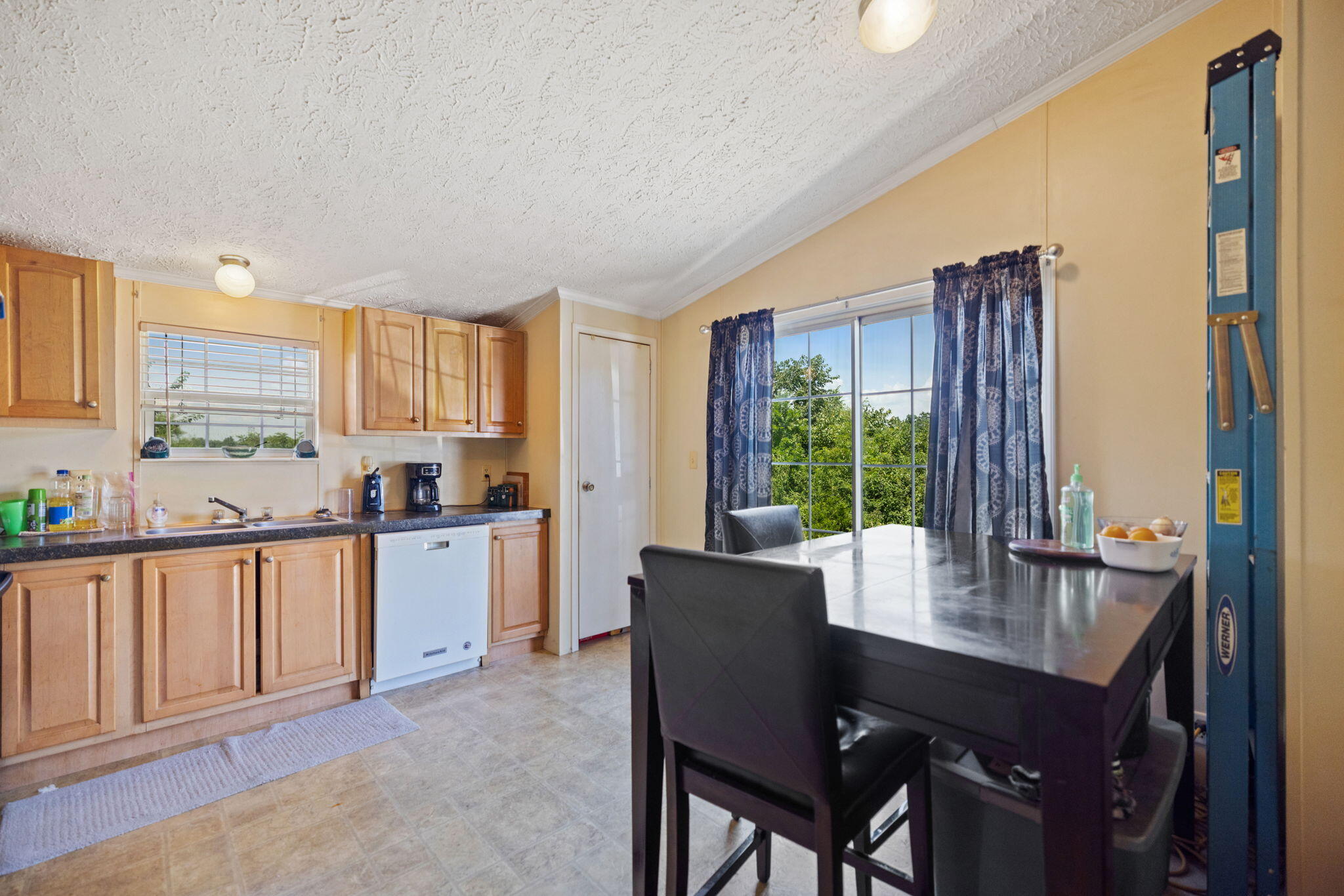 4389 Snake Lick Road Property Photo 9