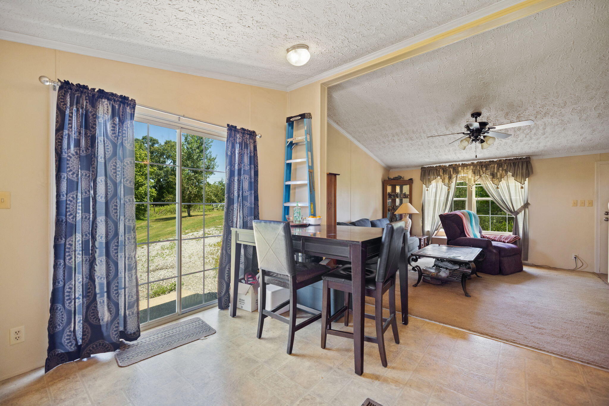 4389 Snake Lick Road Property Photo 10