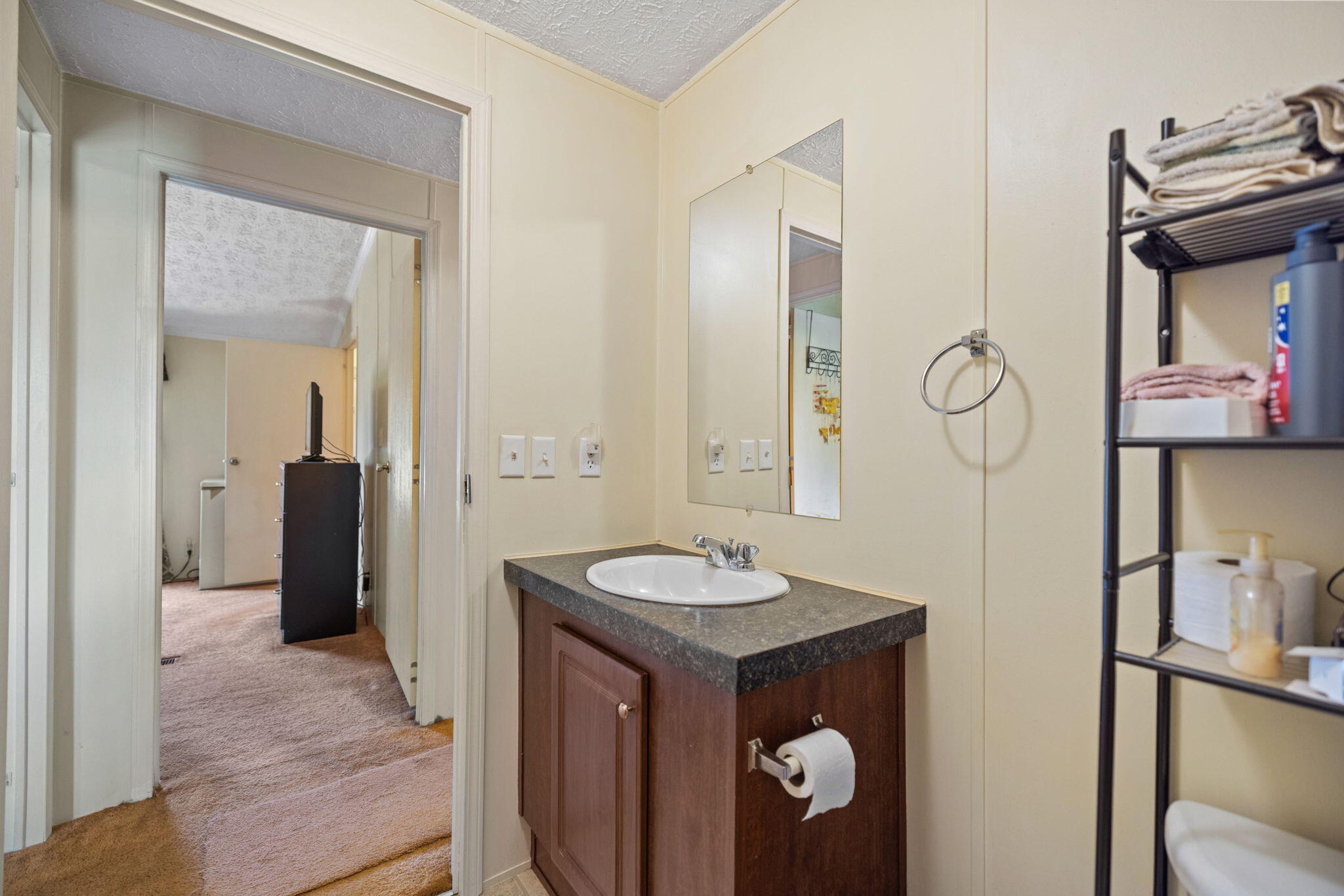 4389 Snake Lick Road Property Photo 24