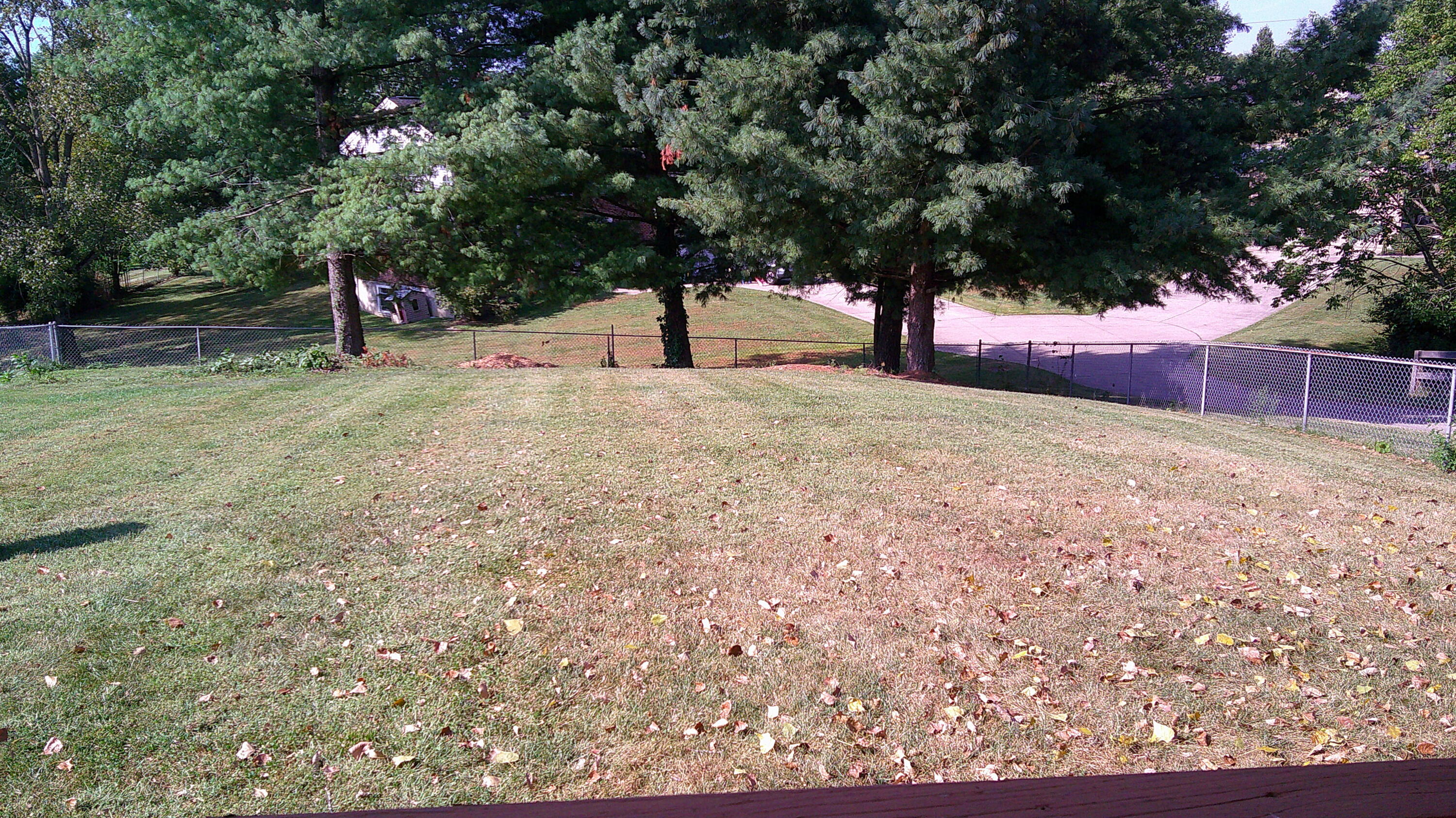 7709 Cannon Valley Drive Property Photo 5