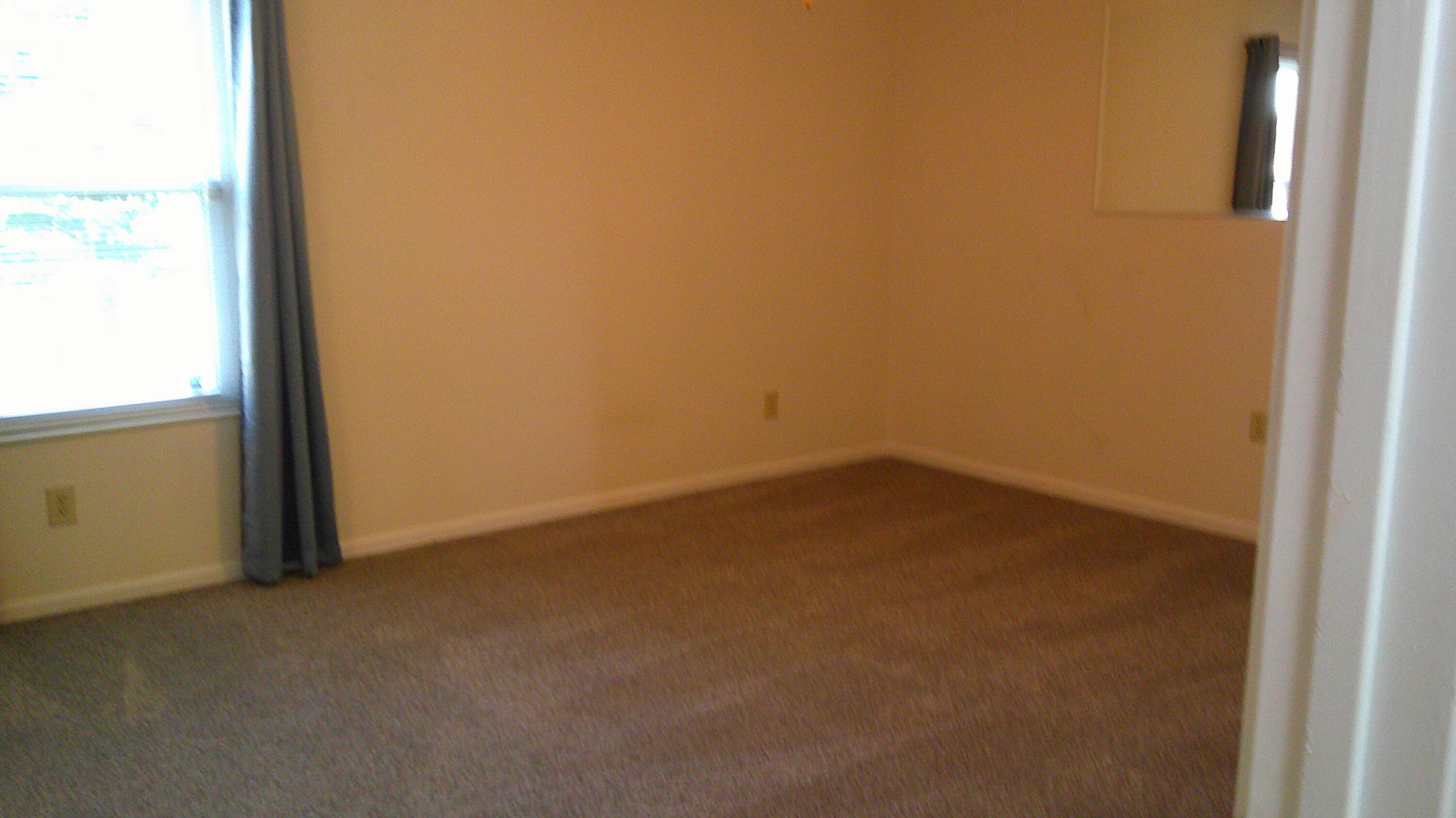 7709 Cannon Valley Drive Property Photo 10