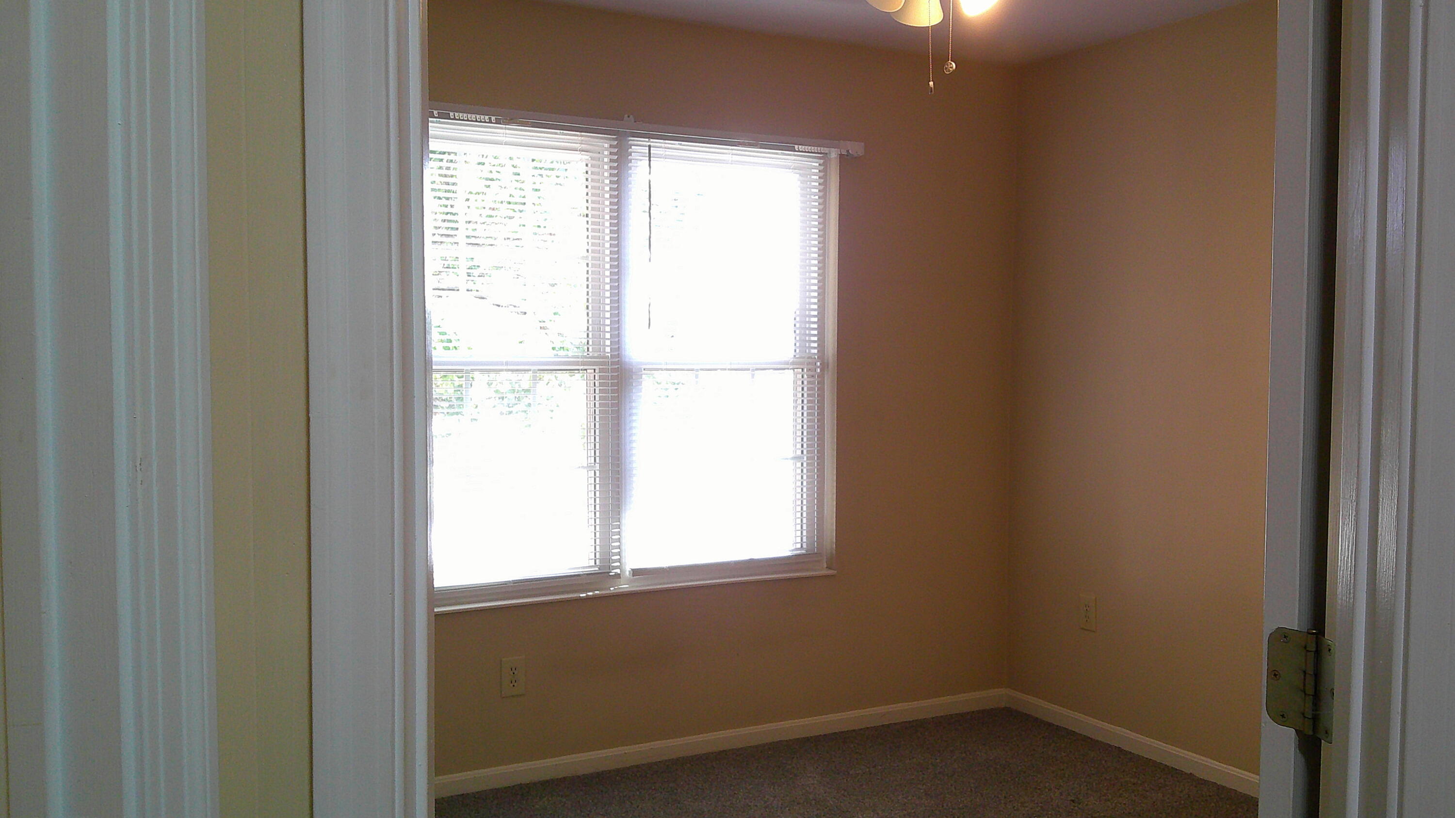 7709 Cannon Valley Drive Property Photo 13