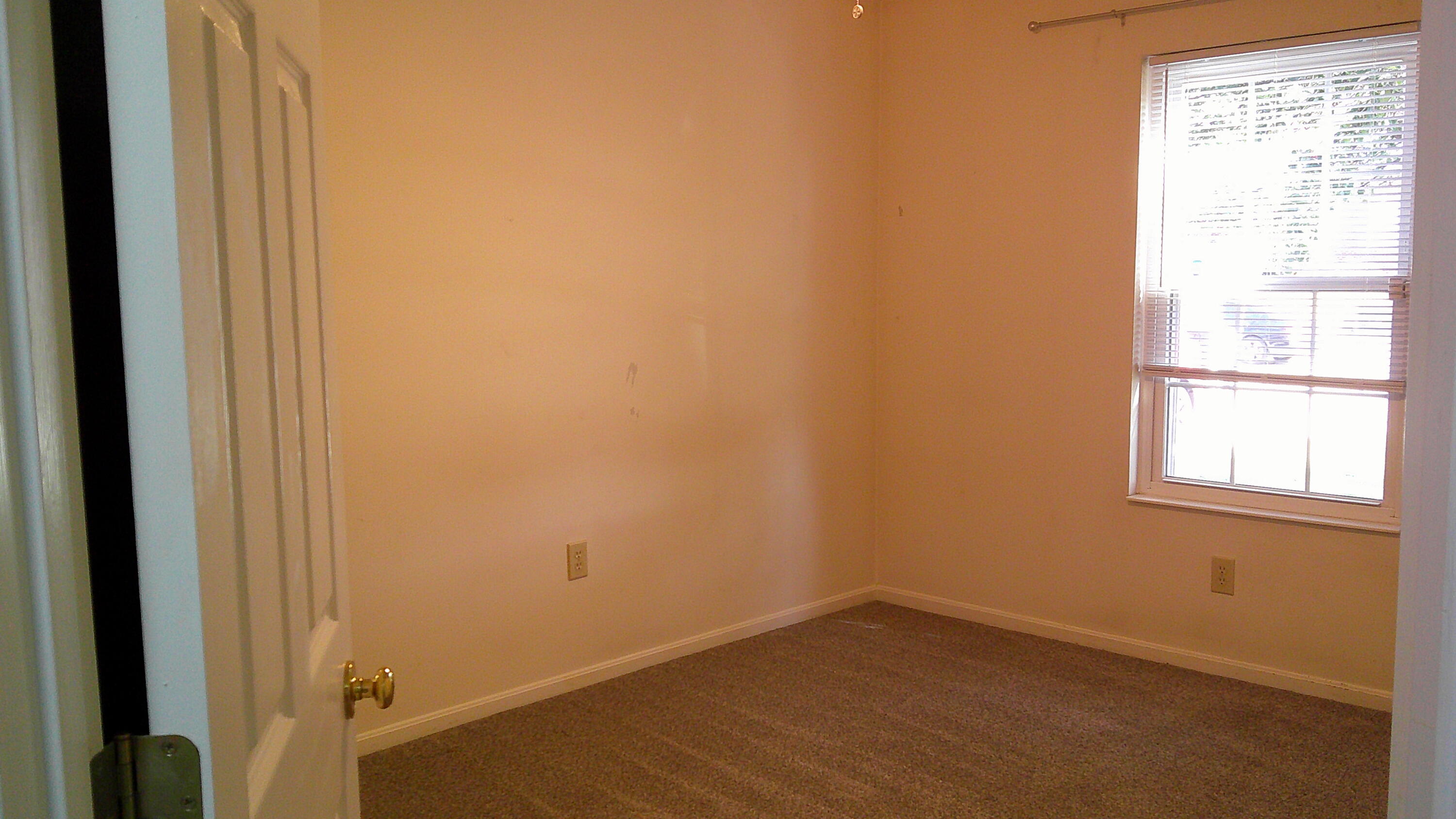 7709 Cannon Valley Drive Property Photo 14