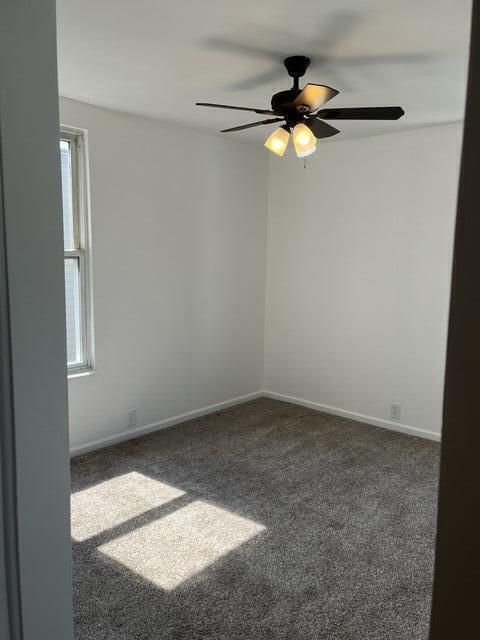 340 Ward Avenue Property Photo 17