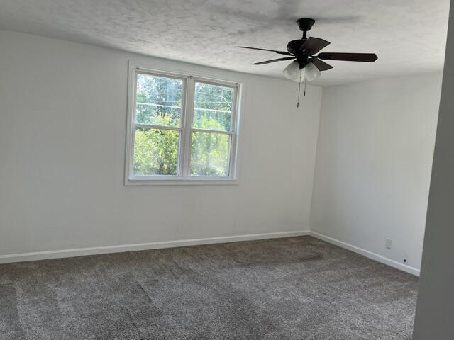 340 Ward Avenue Property Photo 21
