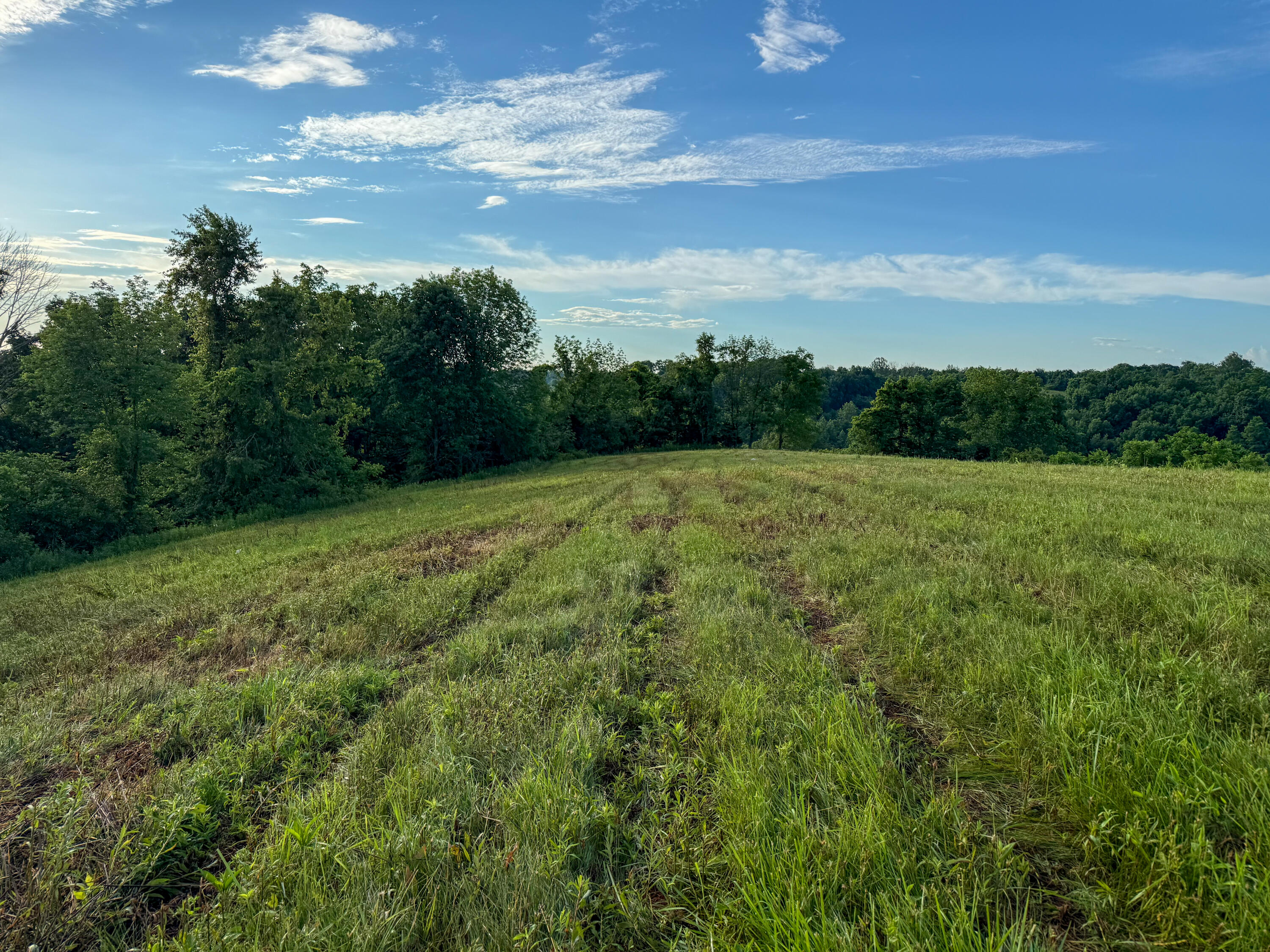 844 Hickey Road Property Photo 17