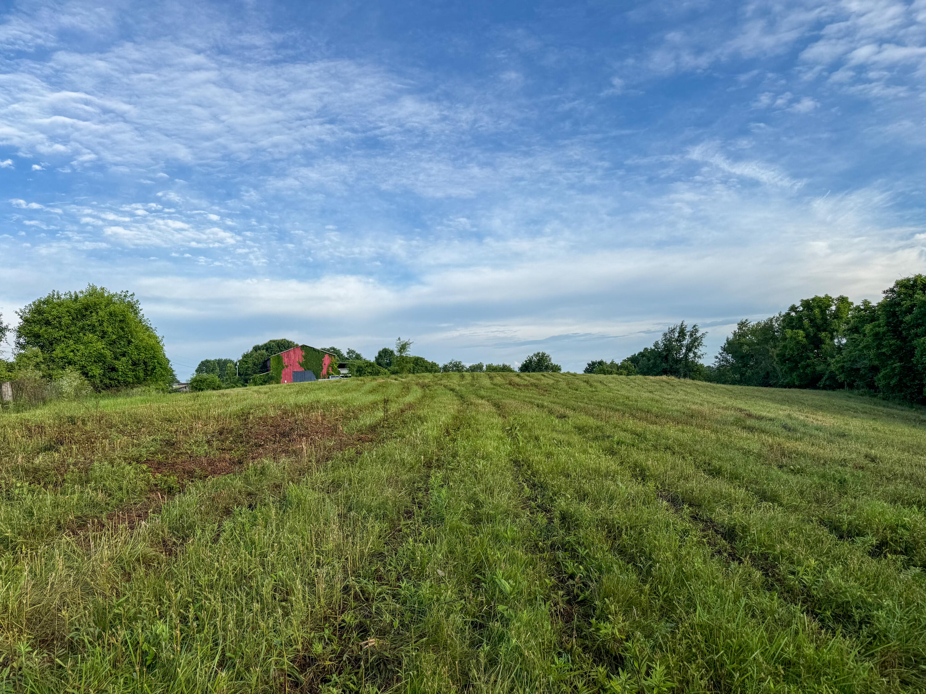 844 Hickey Road Property Photo 18