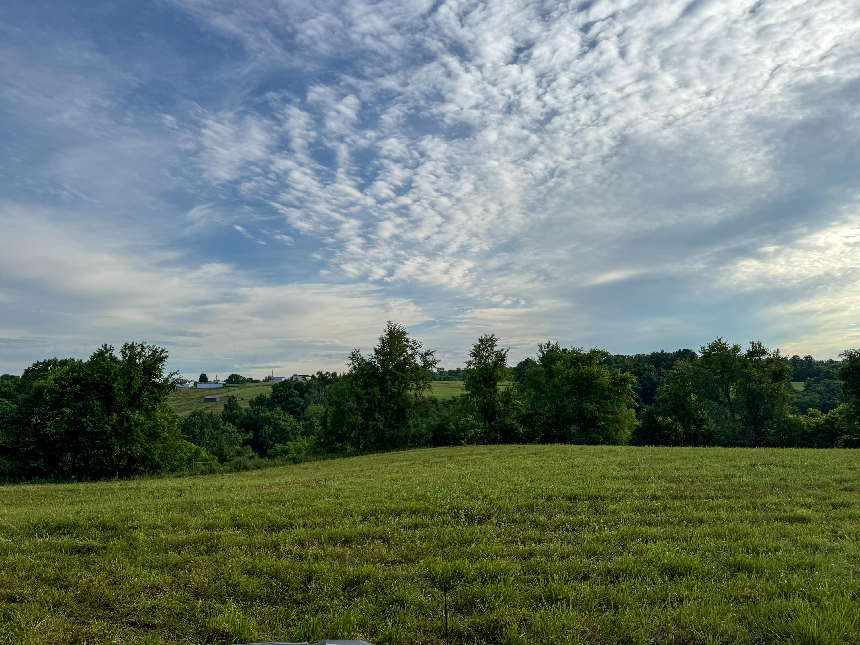 844 Hickey Road Property Photo 26
