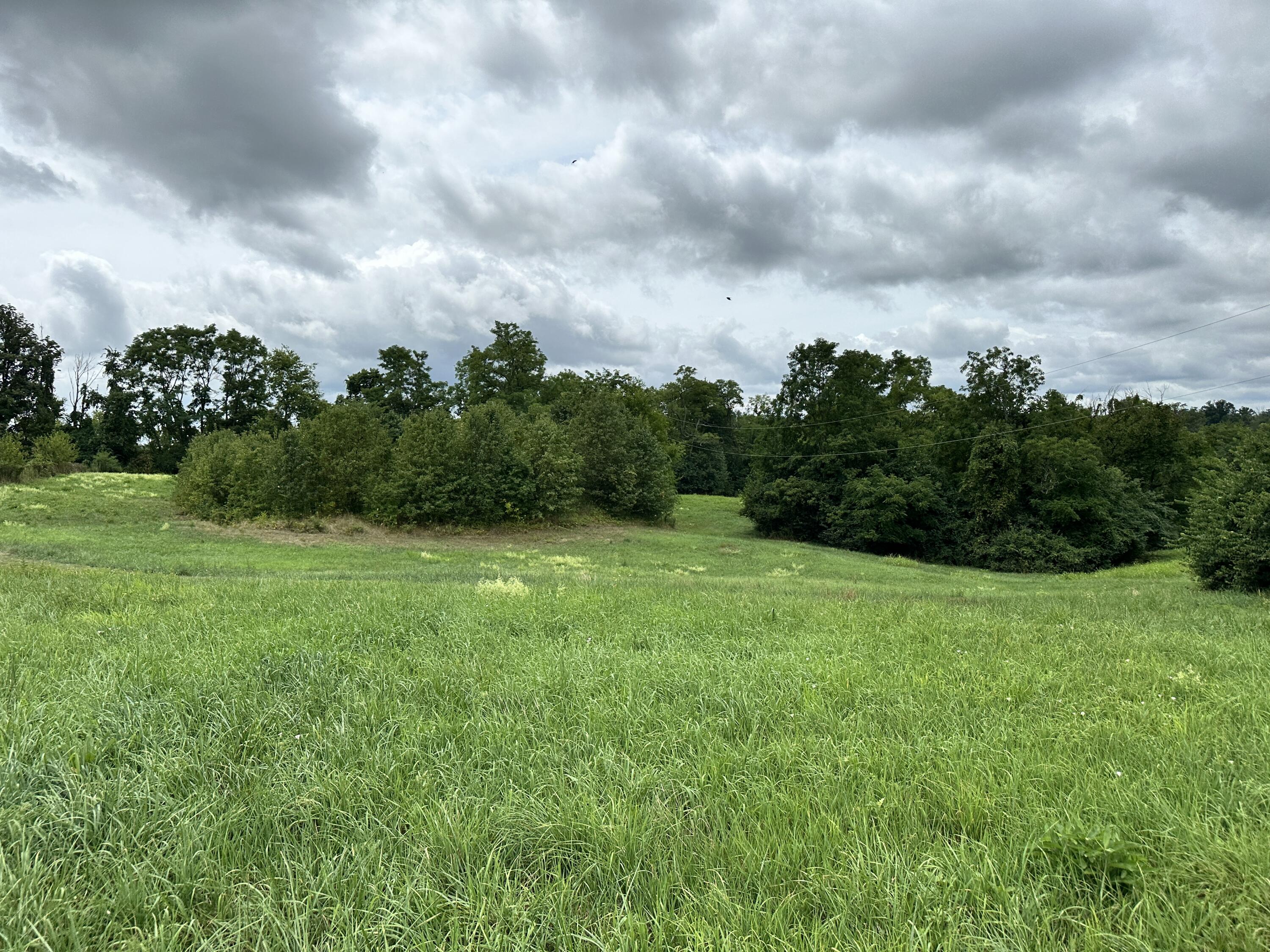 13110 Dixie Hwy Property Photo 8