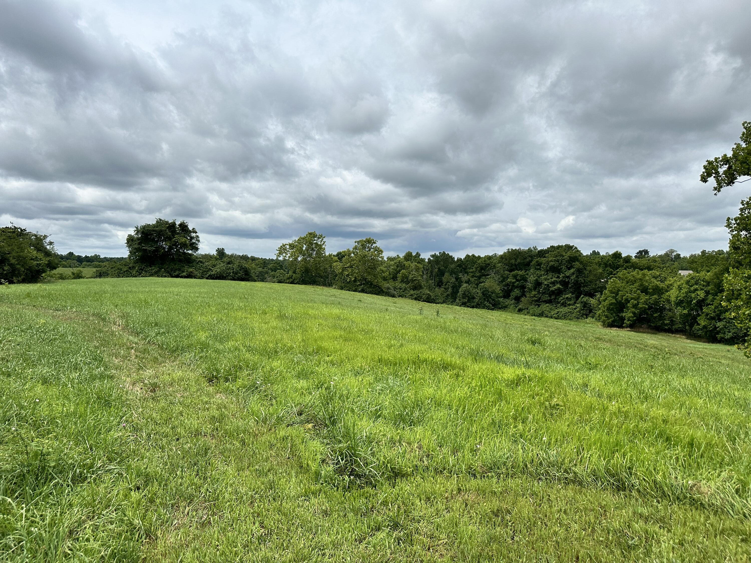 13110 Dixie Hwy Property Photo 11