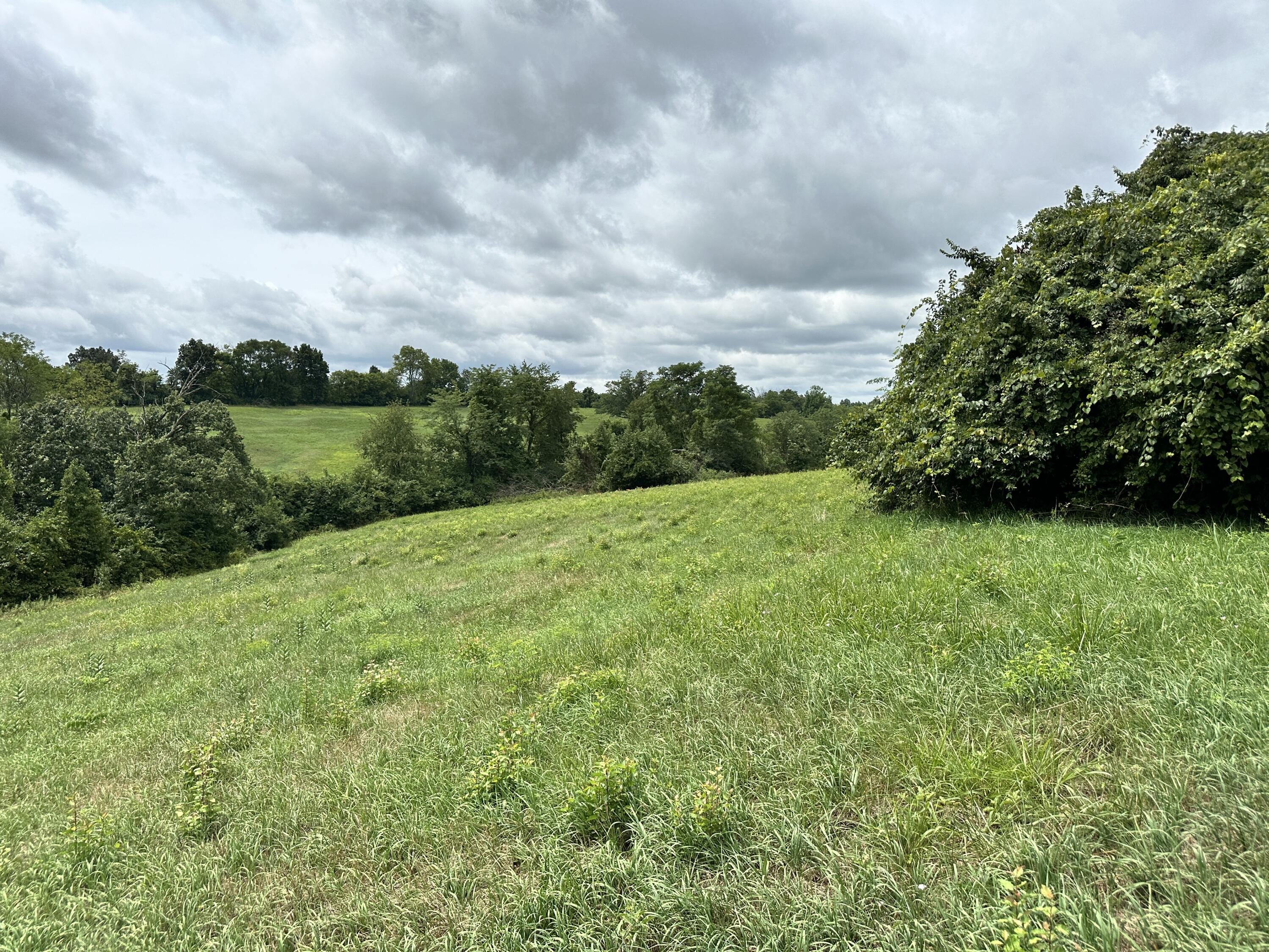 13110 Dixie Hwy Property Photo 12