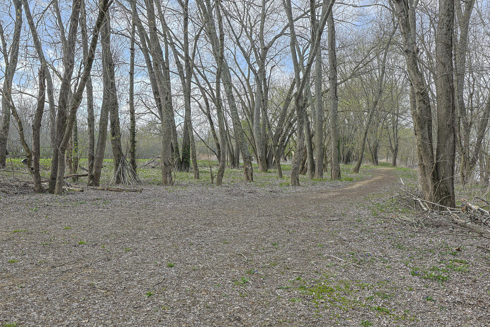 5646 New Drive Property Photo 42