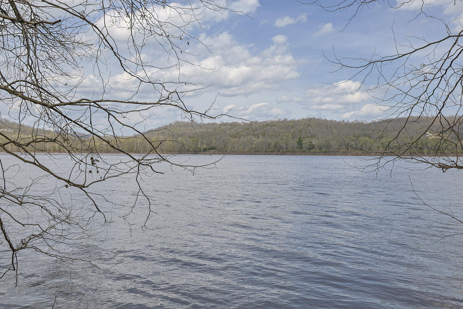 5646 New Drive Property Photo 43