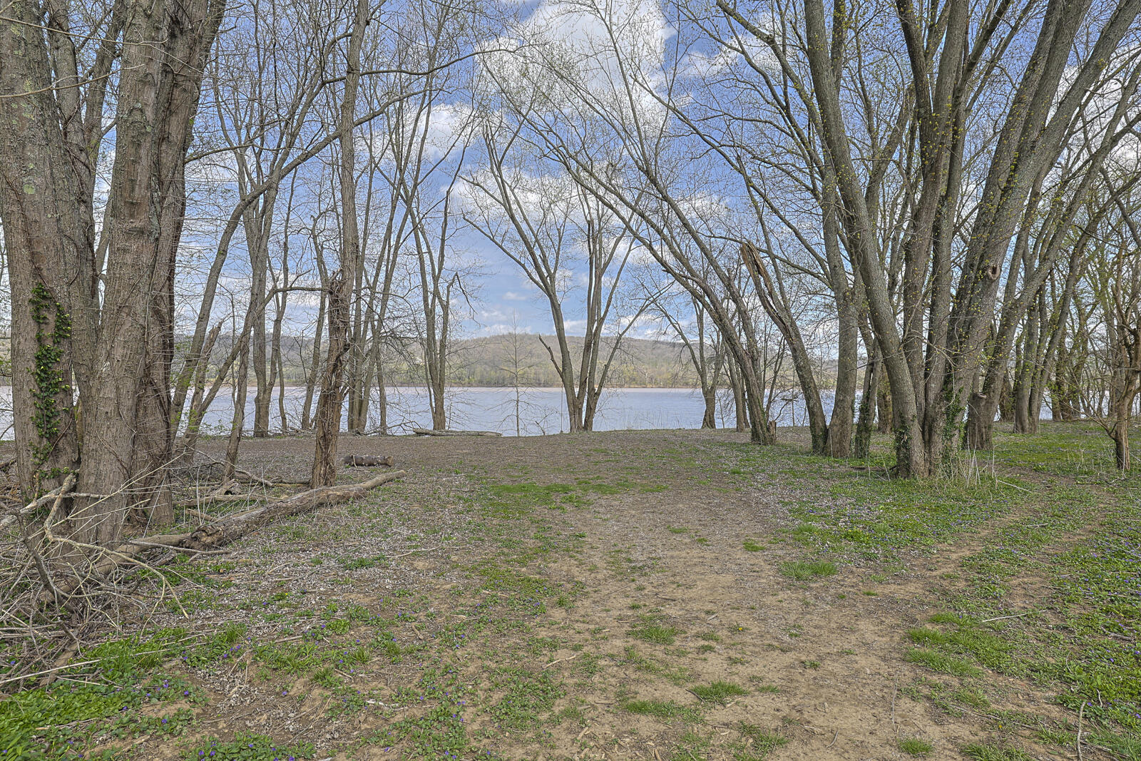 5646 New Drive Property Photo 44