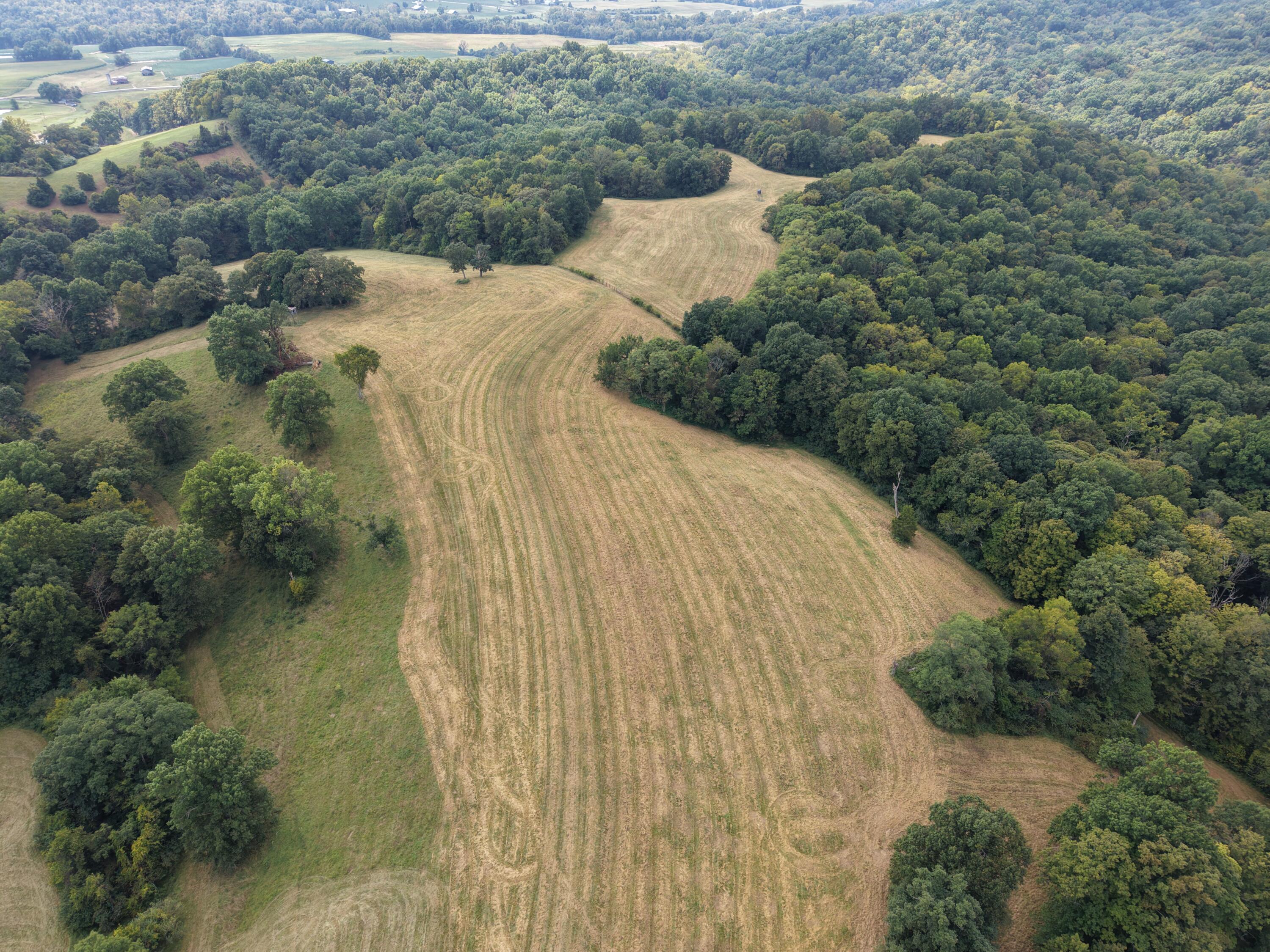 0 Micah's Ridge Property Photo 19