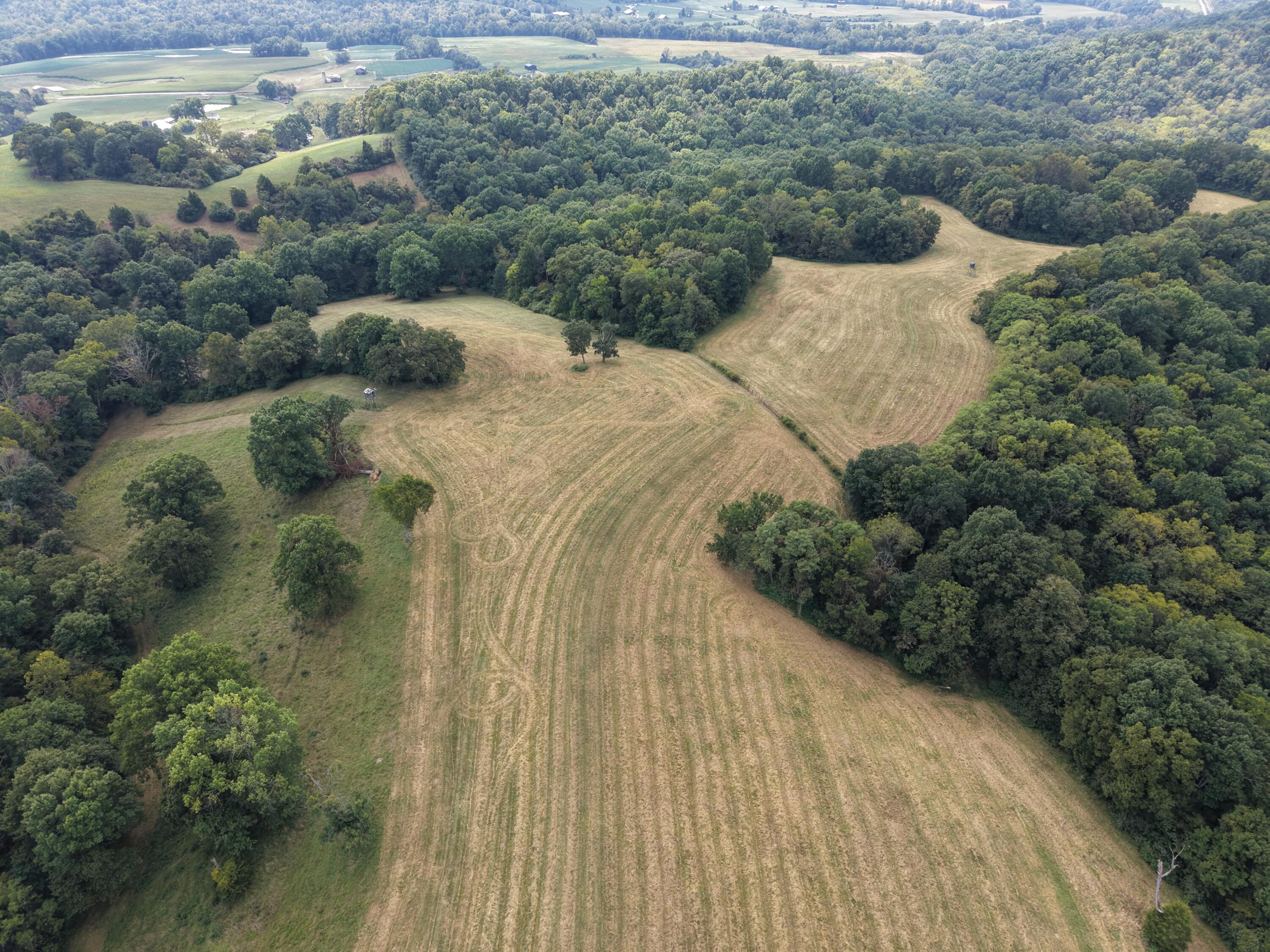 0 Micah's Ridge Property Photo 20