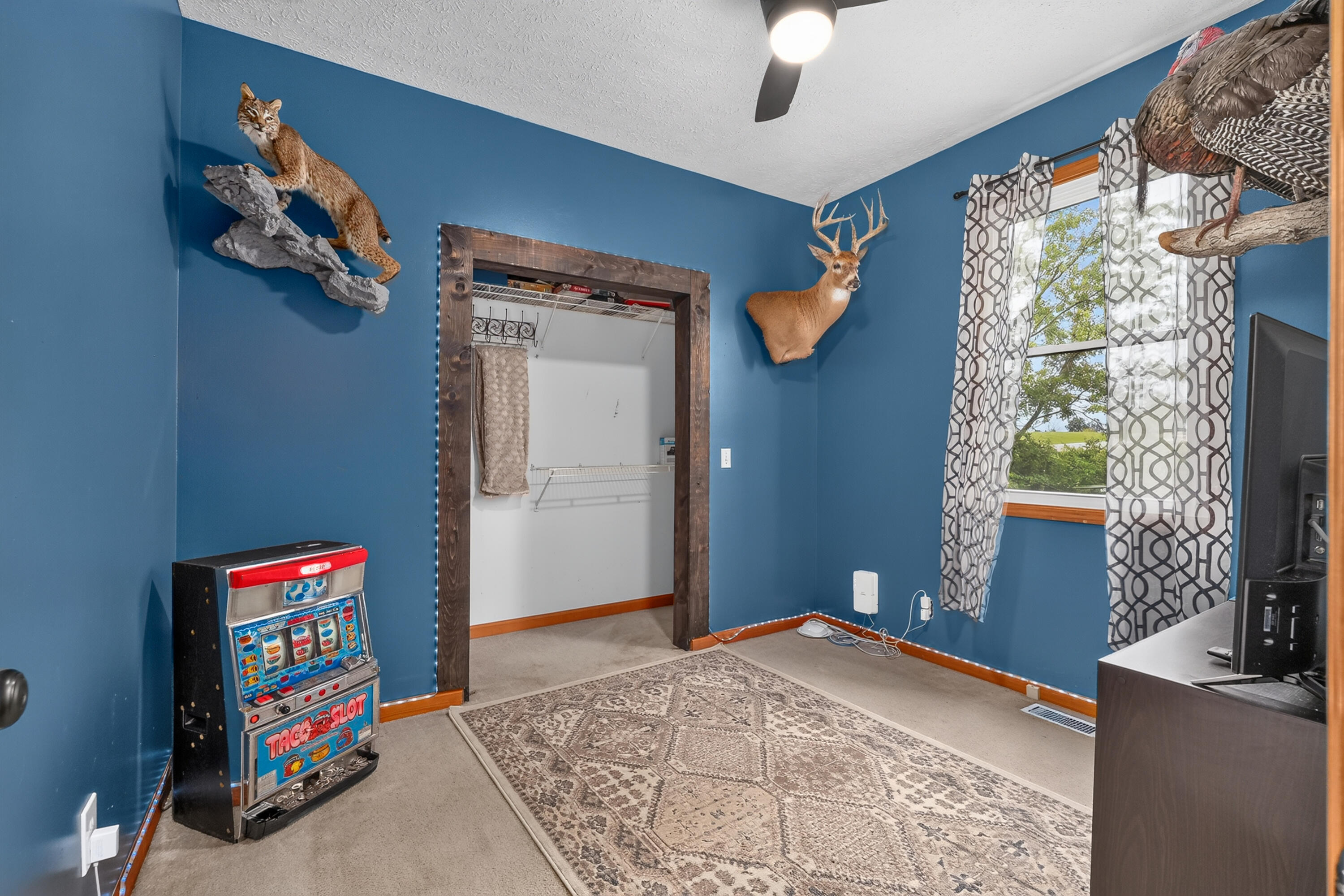 341 Fairview Road Property Photo 16