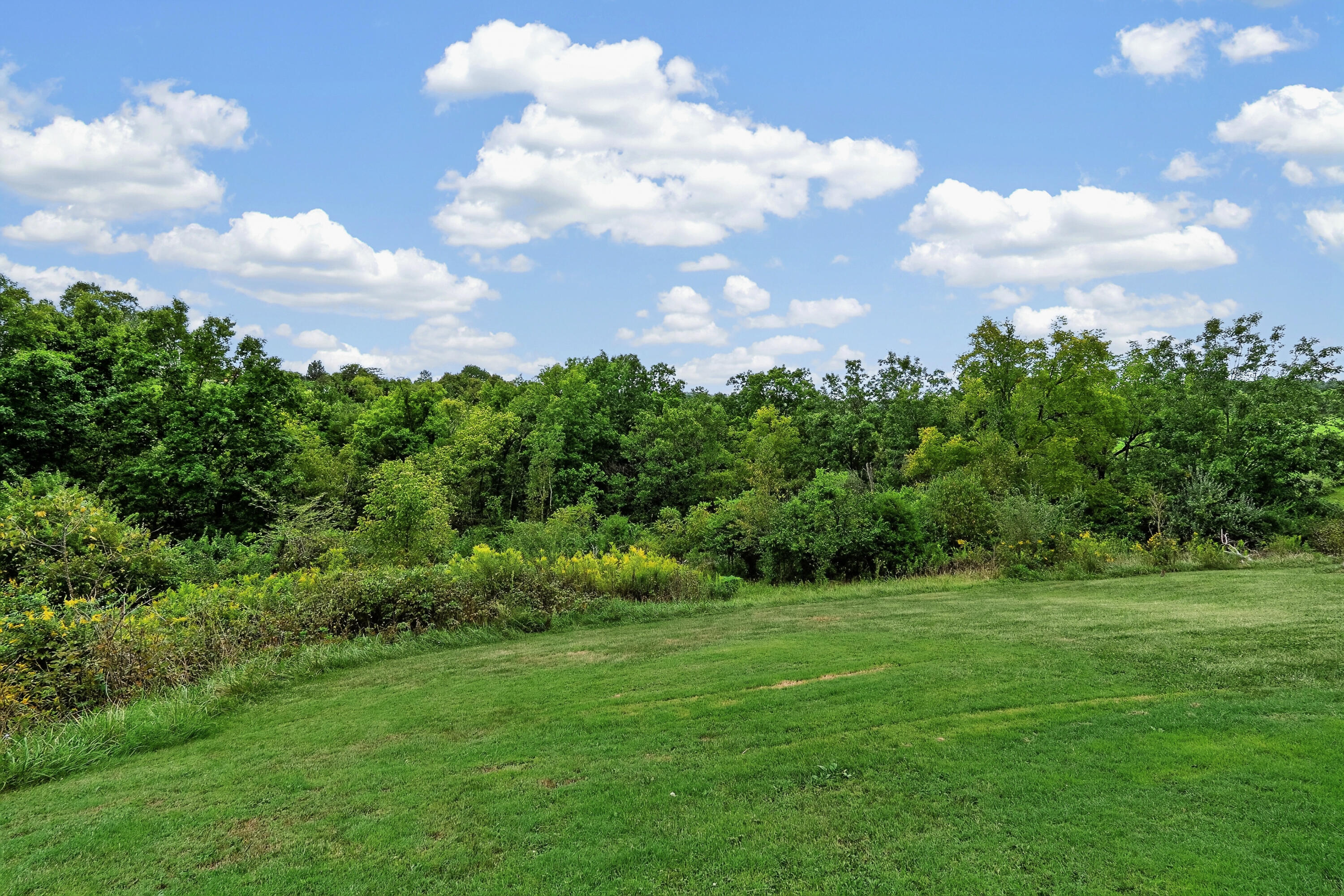 341 Fairview Road Property Photo 36