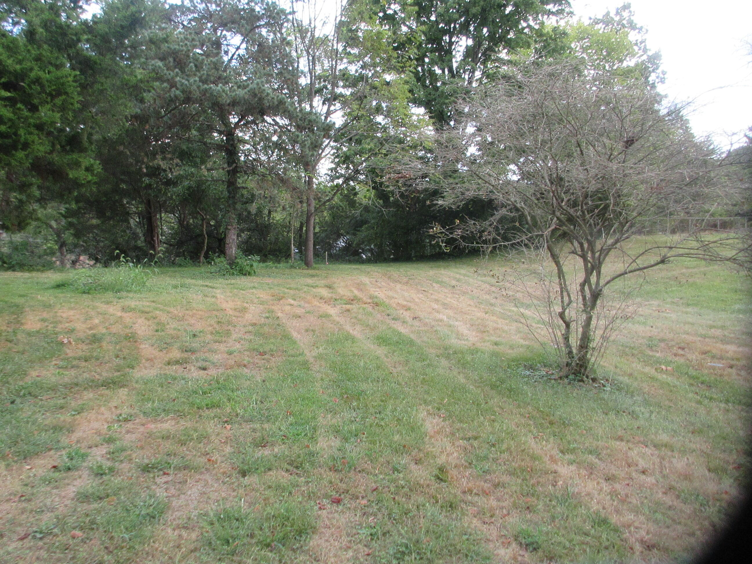 196 Shaw Avenue Property Photo 2