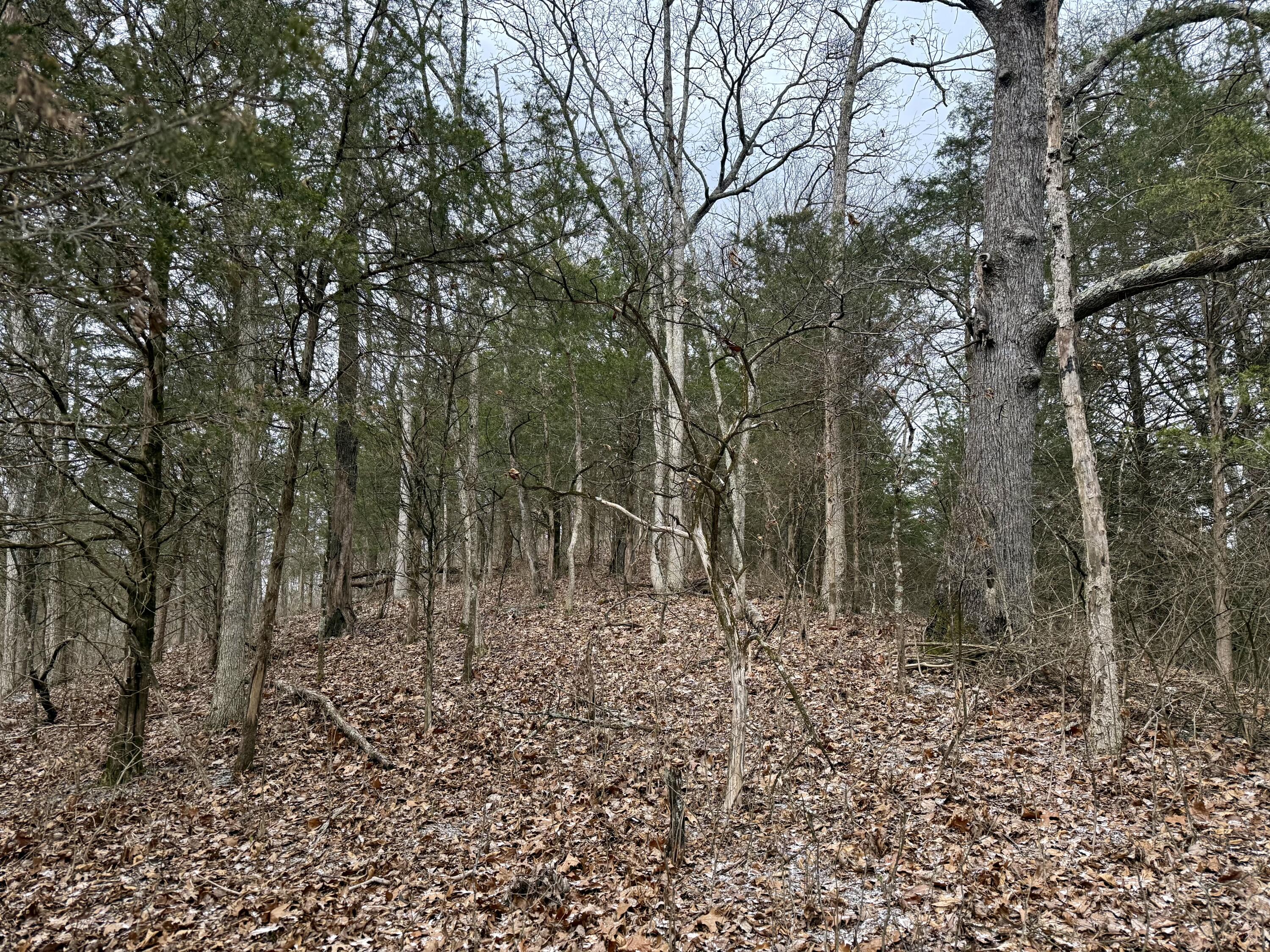 57 +/- Conley Road Property Photo 1