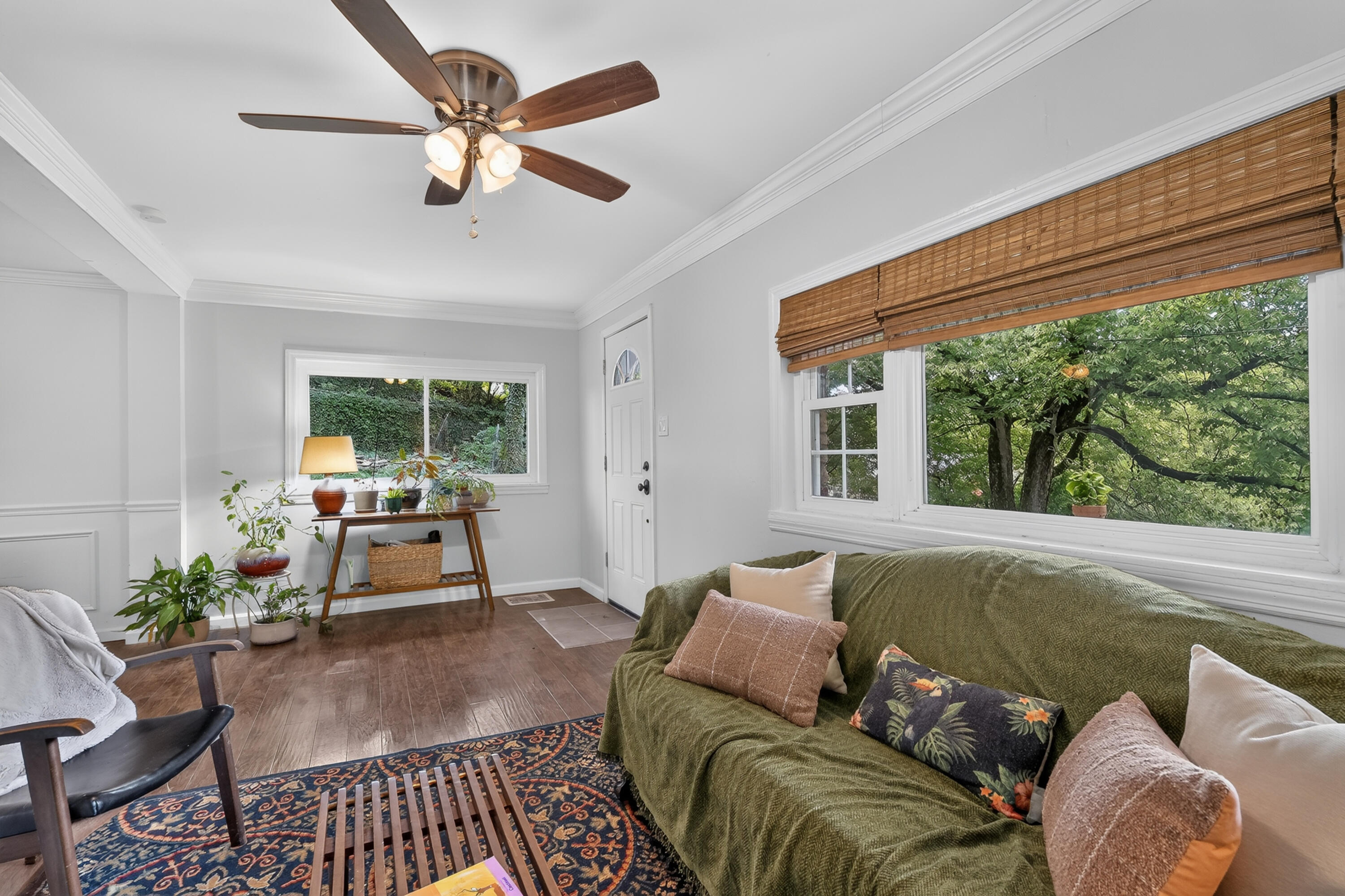 31 Delta Avenue Property Photo 4