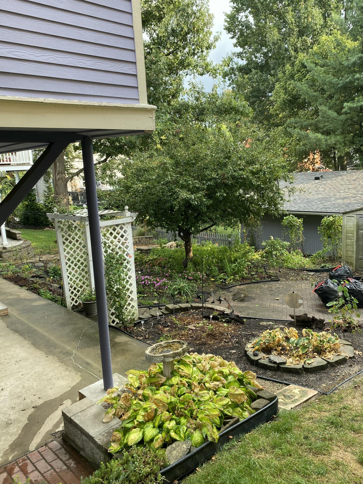229 Wallace Avenue Property Photo 39